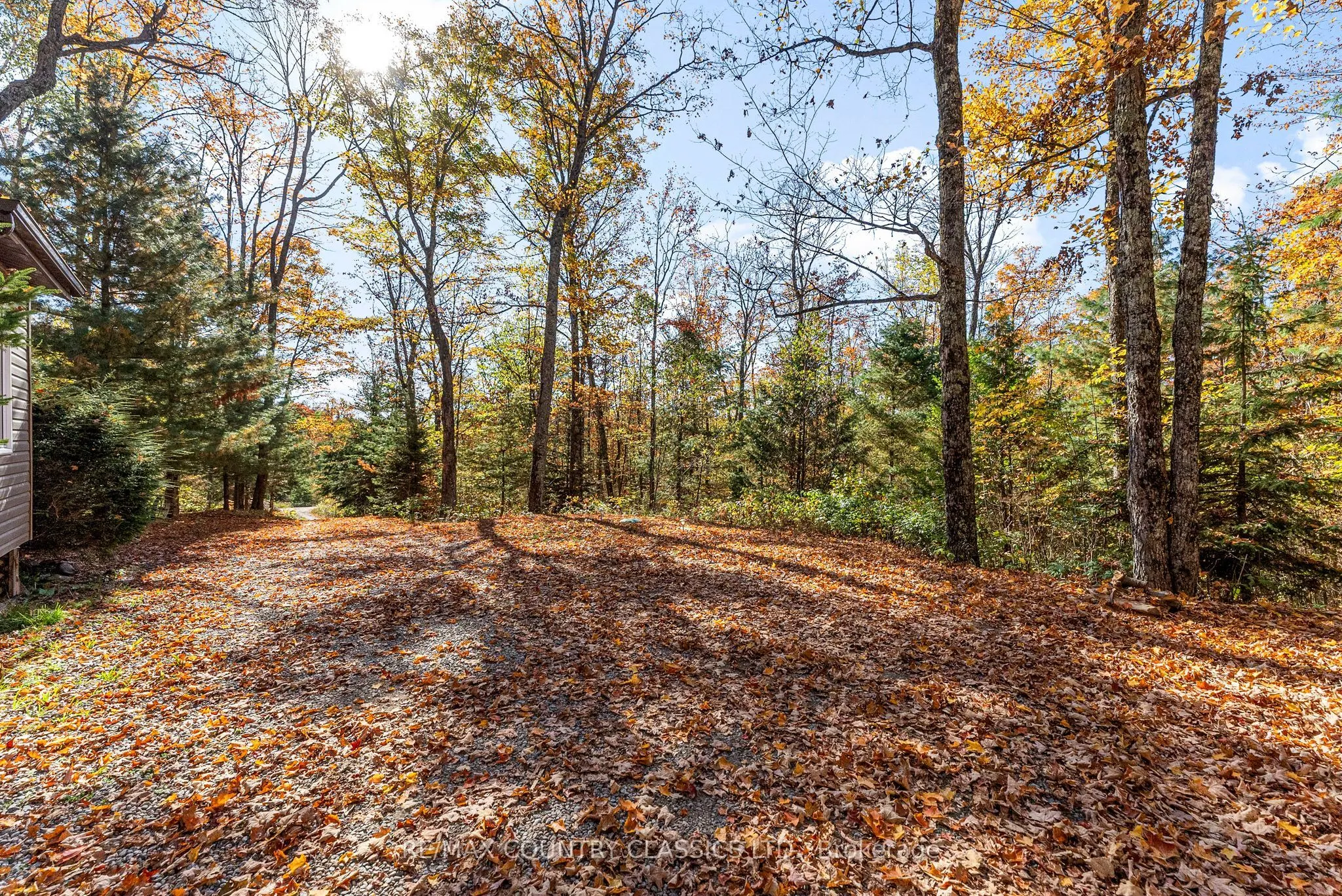 1201 MORAINE Drive