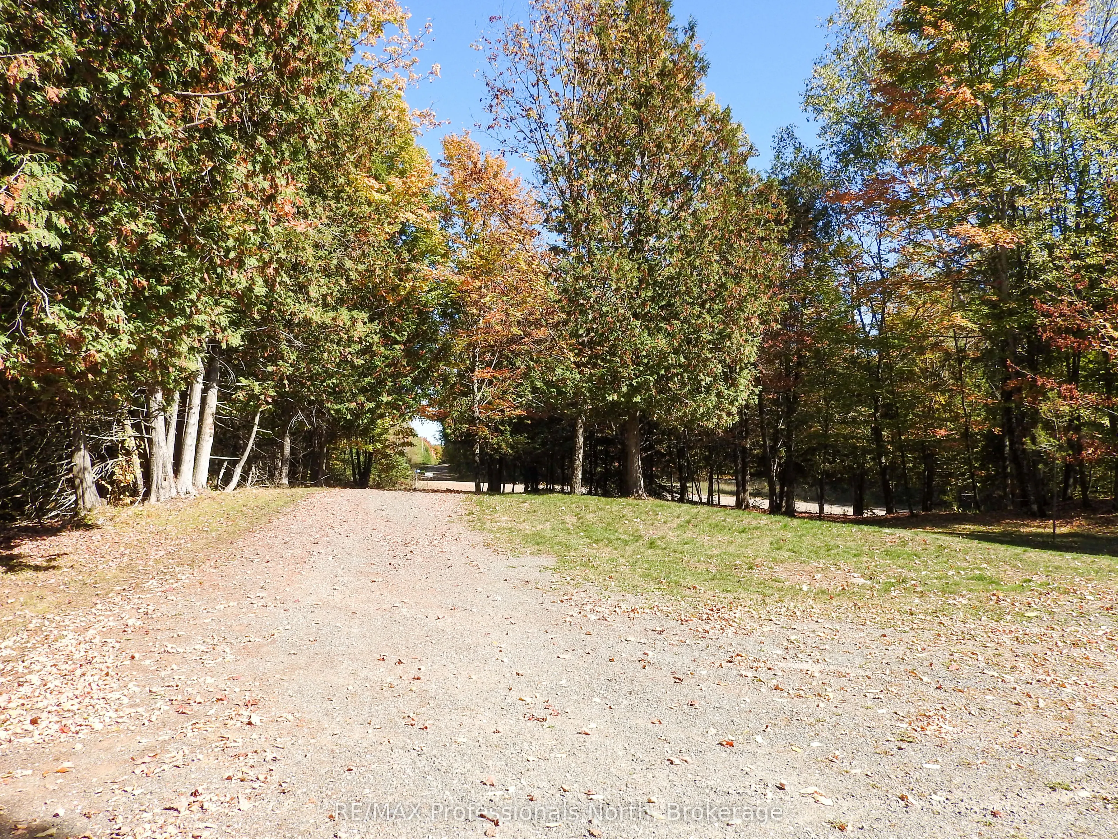 1386 Ingram Road