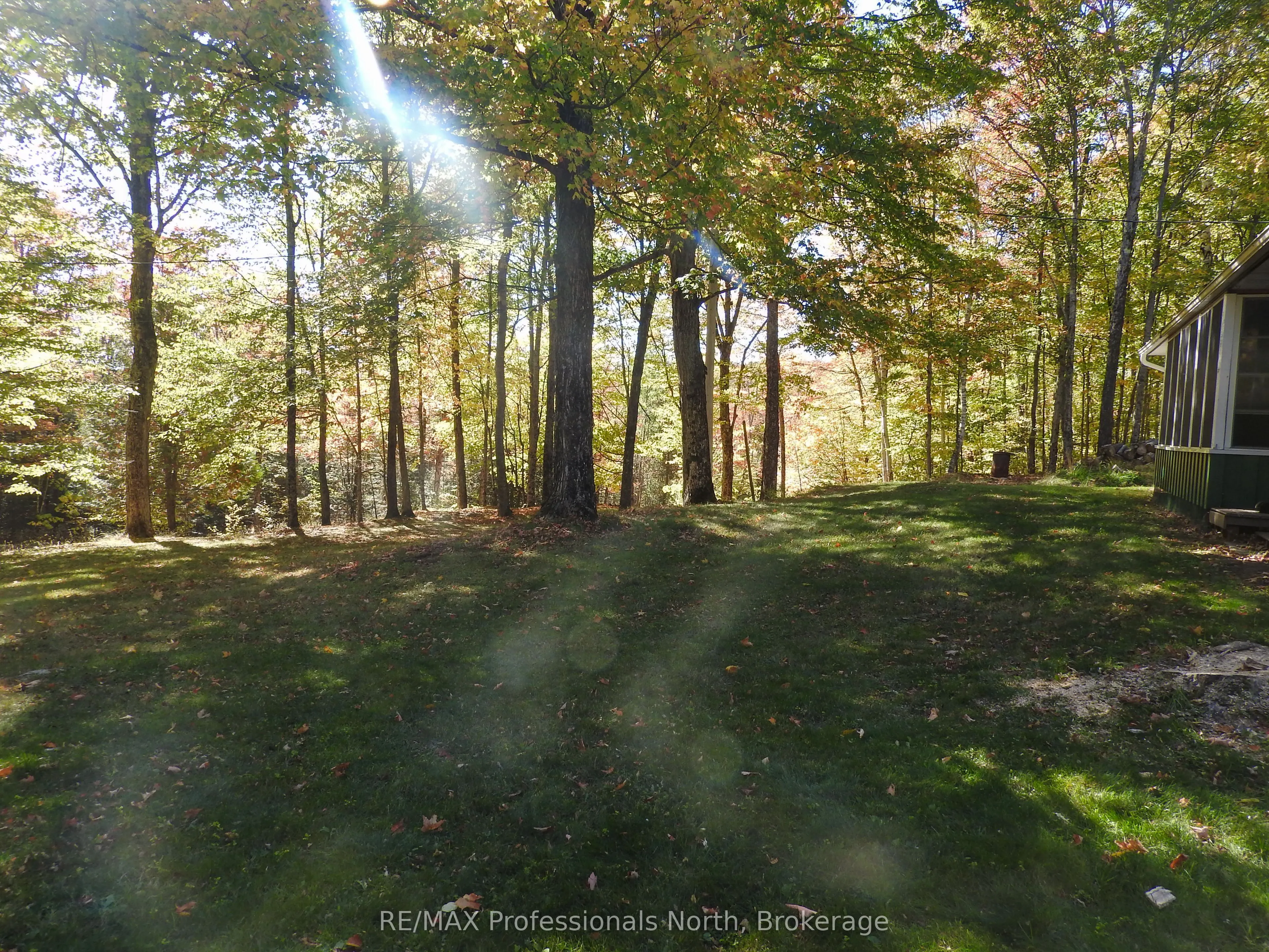 1386 Ingram Road