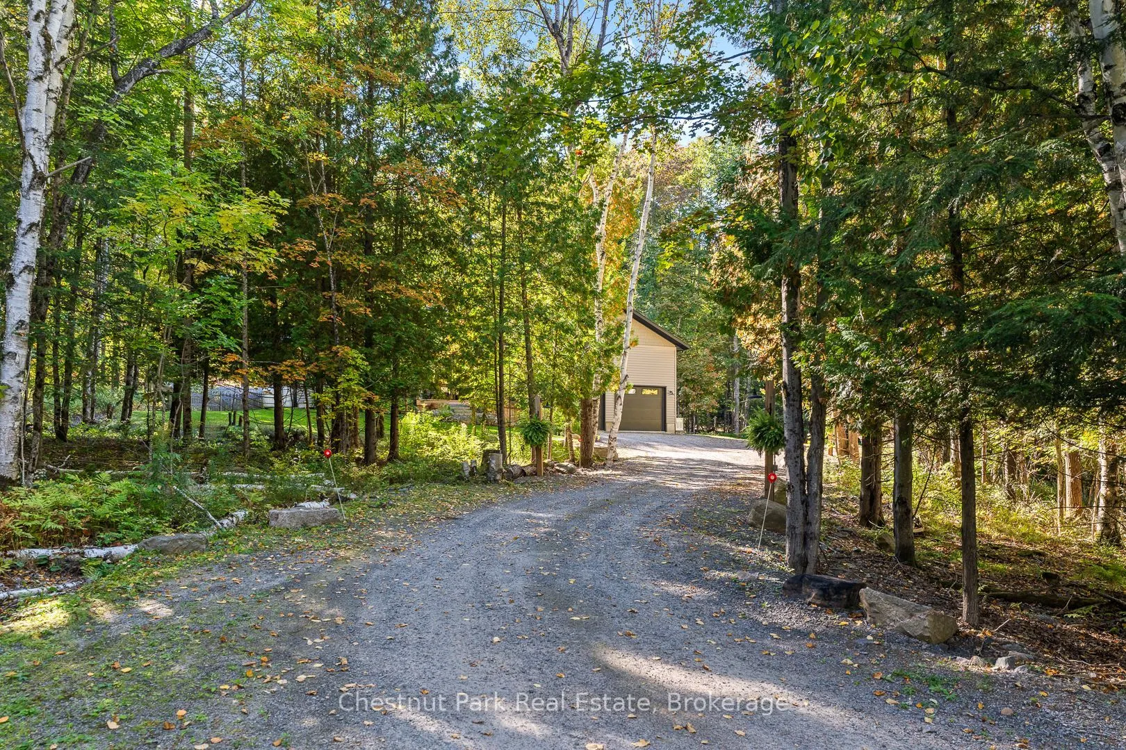 170 SPRINGFIELD Road