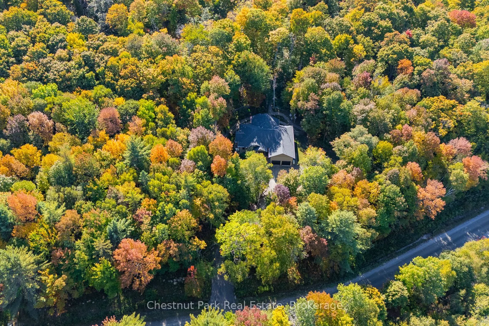 170 SPRINGFIELD Road