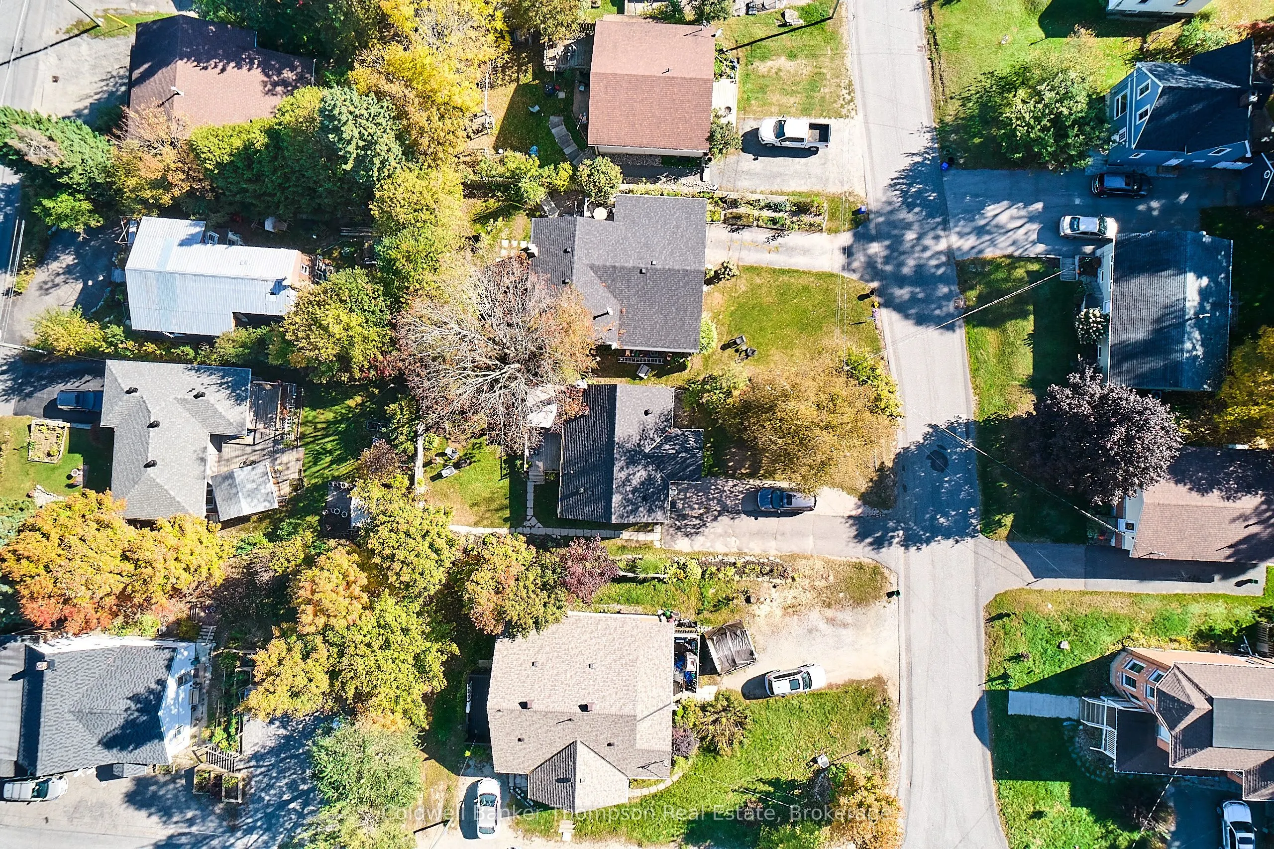 14 Cora Street W