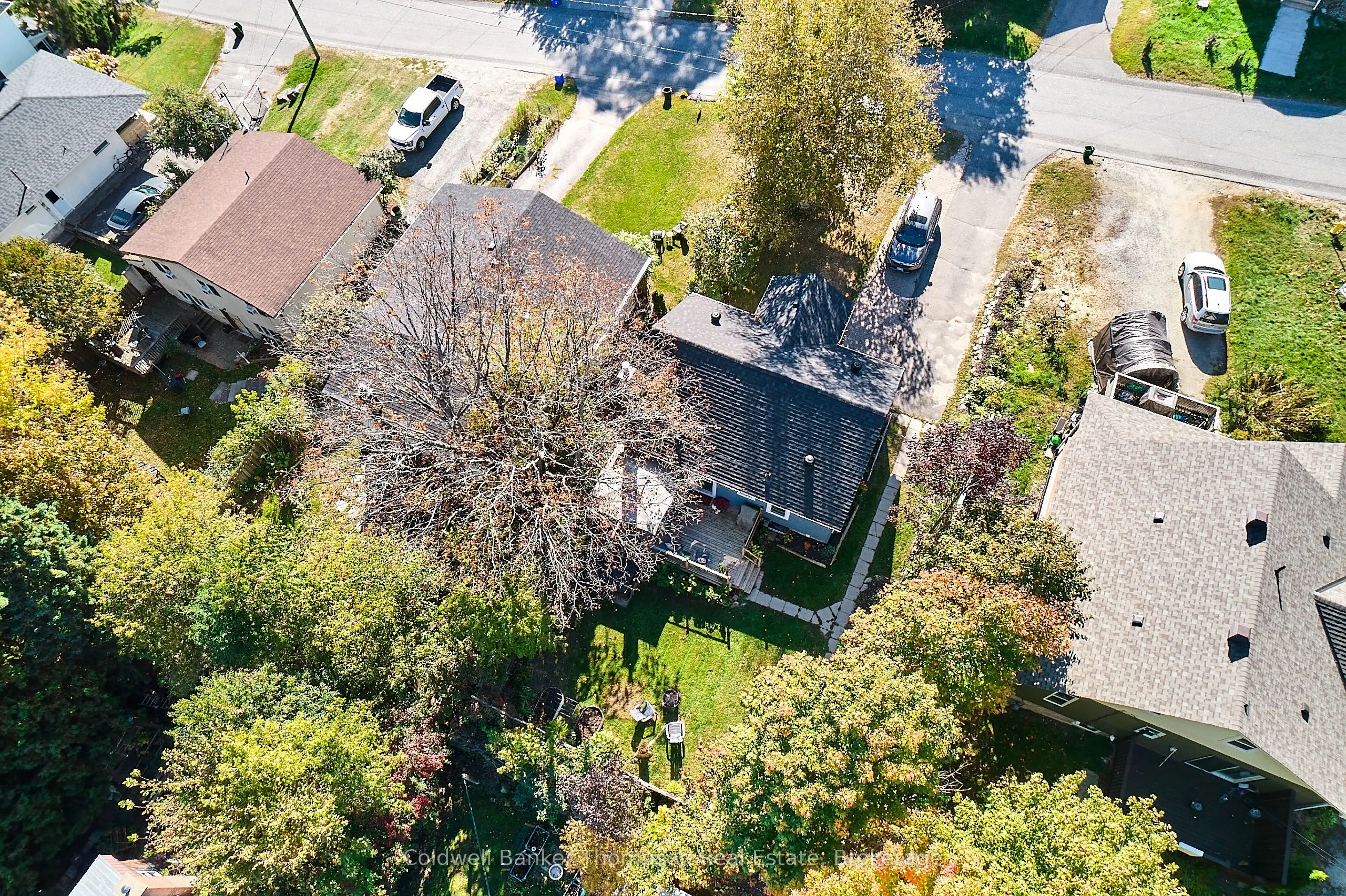 14 Cora Street W