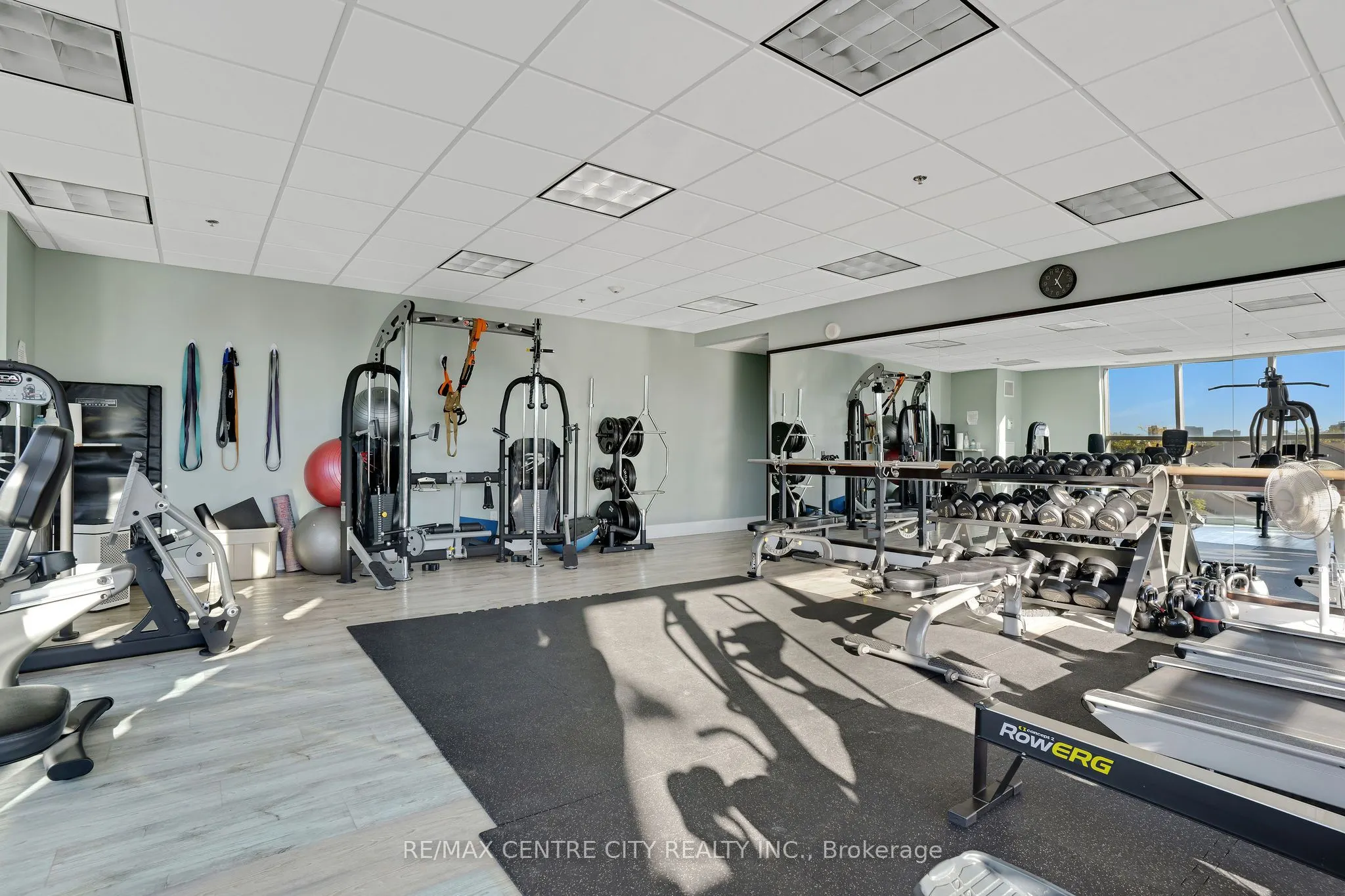 144 Park Street, #1009