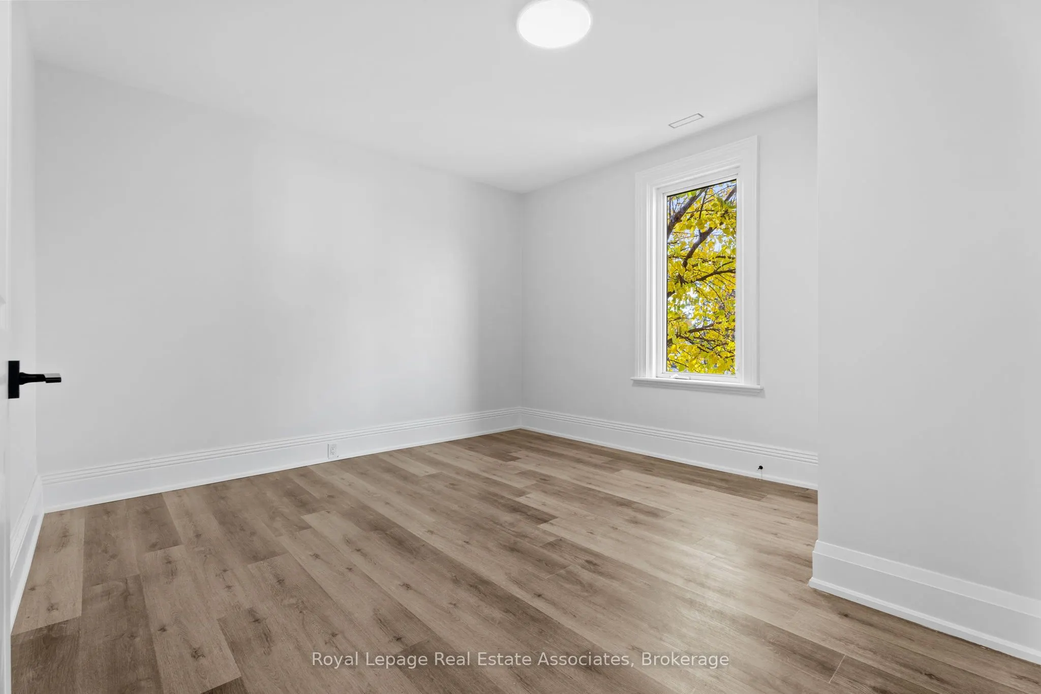 55 Cayuga Street, #2