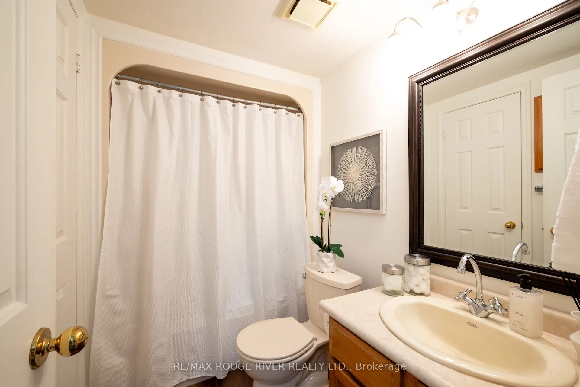 182 D'arcy Street, #C-103