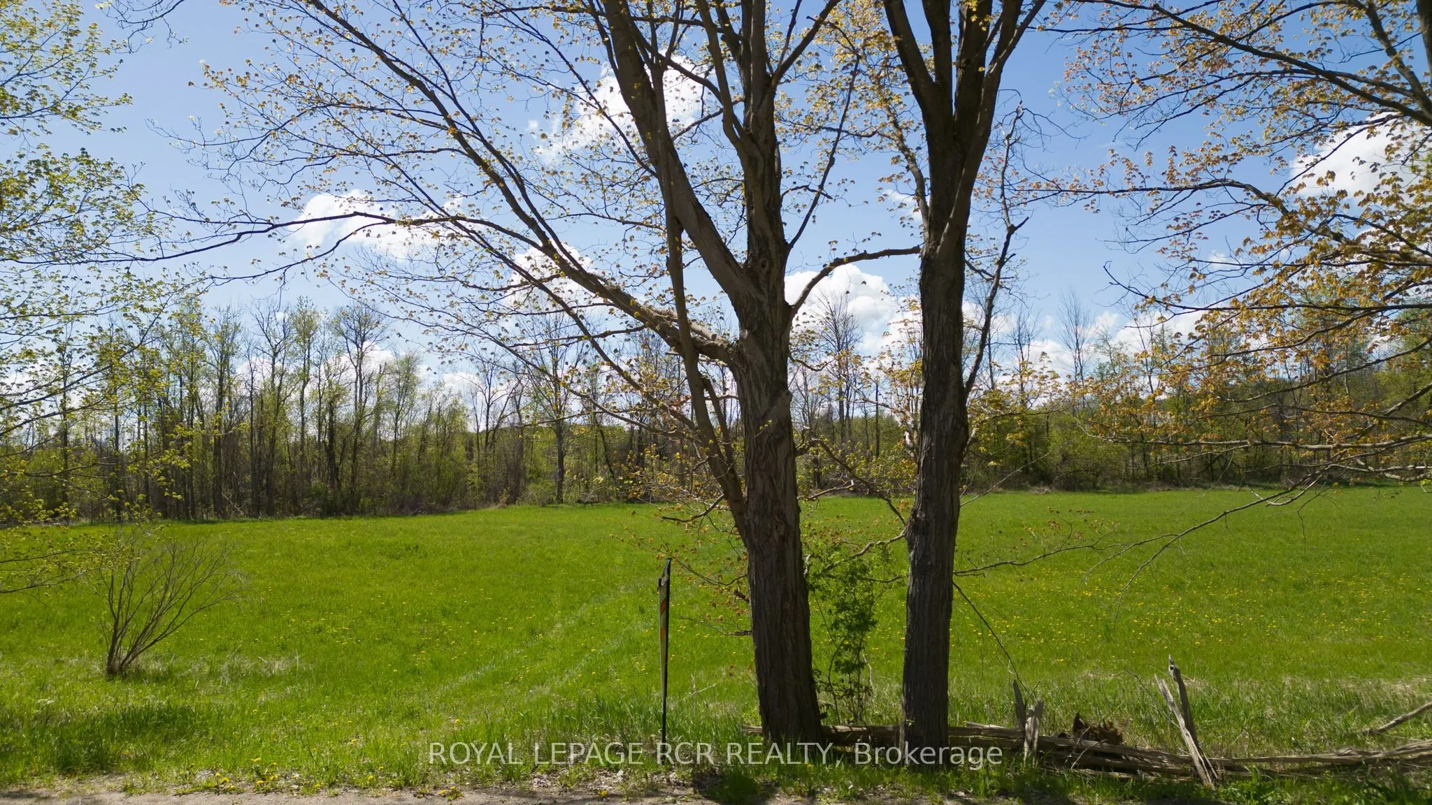 Pt Lt5 Concession 8