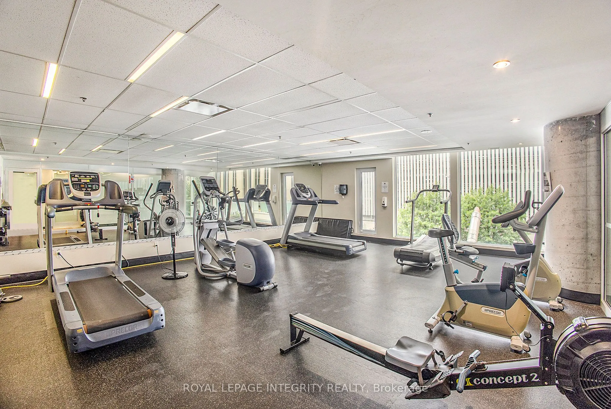 197 Lisgar Street, #212