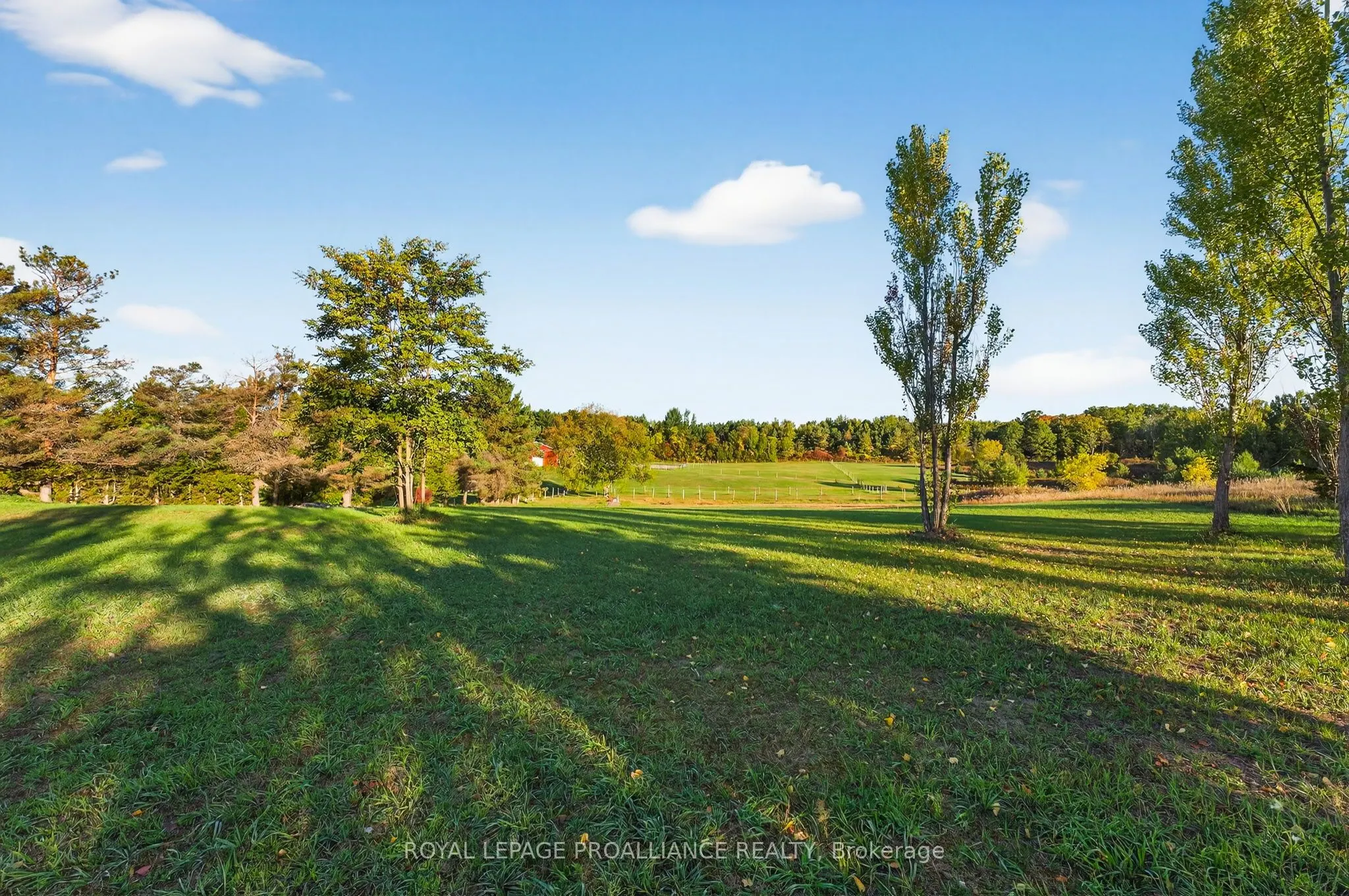 1282 COUNTY ROAD 5