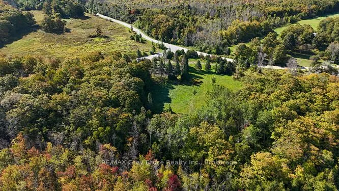290 Clarke's Road
