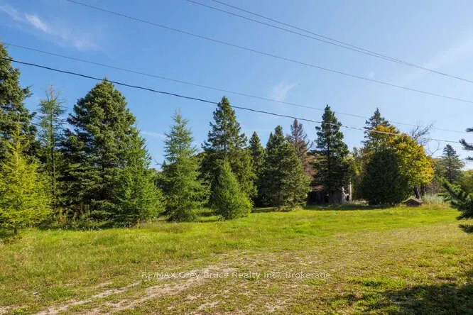 290 Clarke's Road