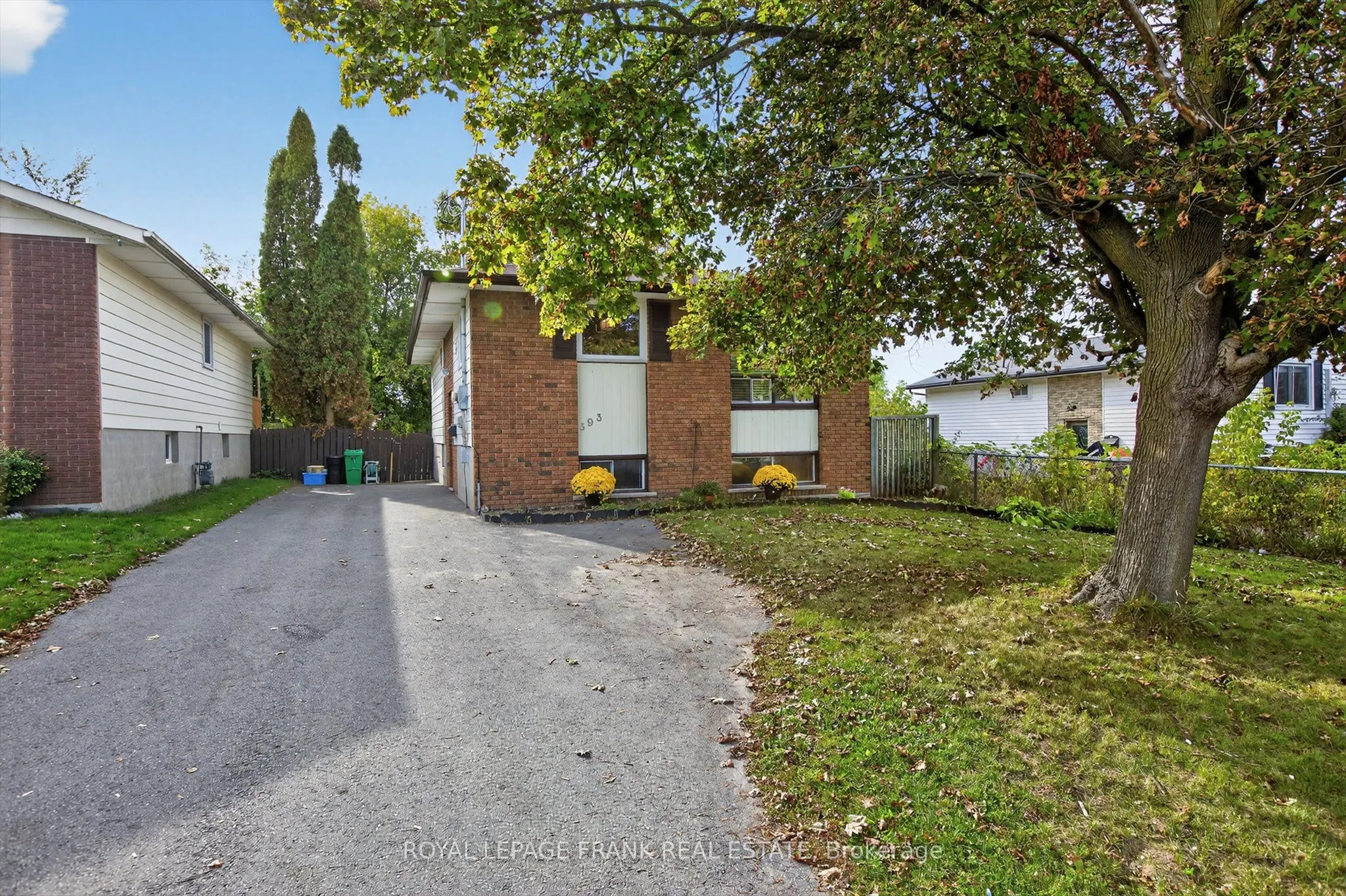 393 Southpark Drive
