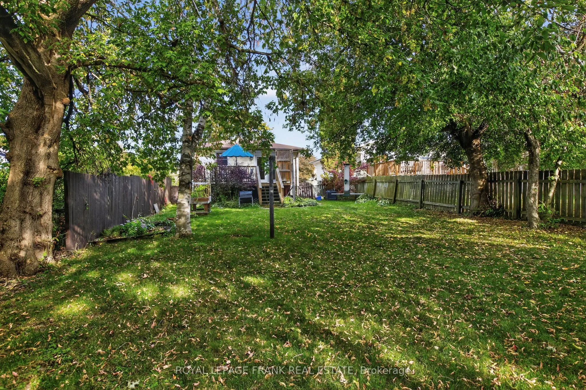 393 Southpark Drive