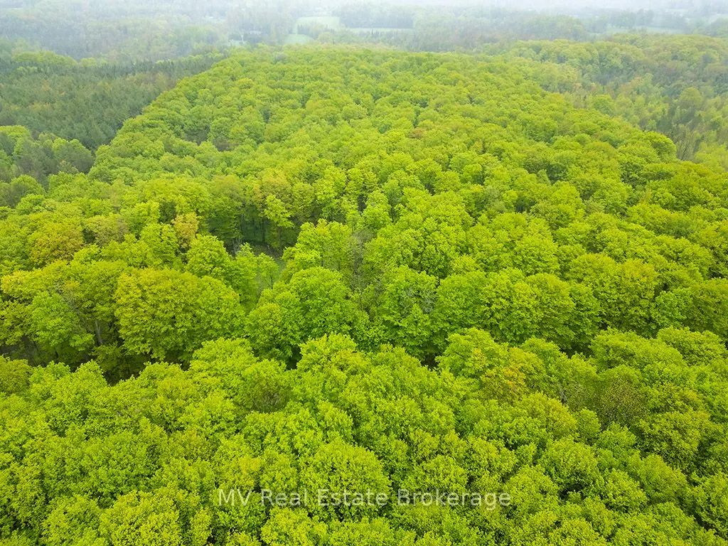 PT LT 6 BASELINE Road
