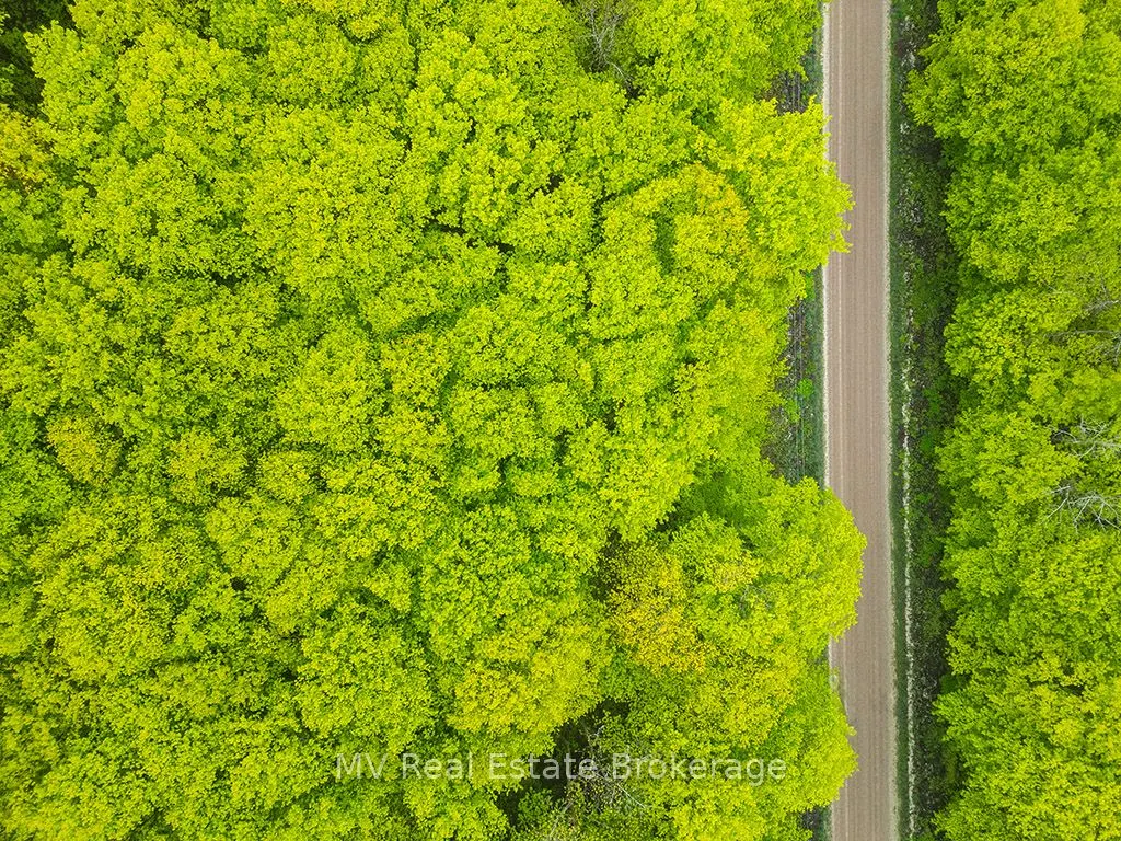 PT LT 6 BASELINE Road