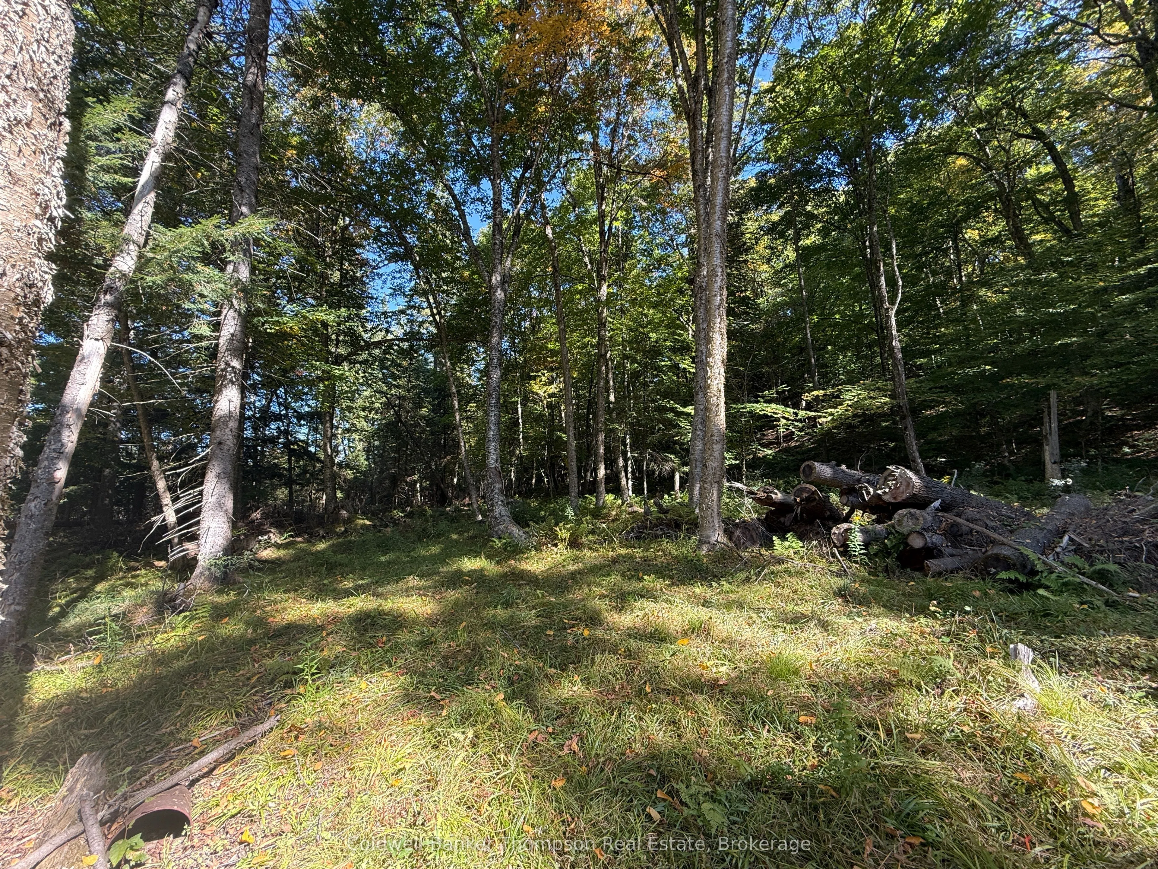 1378 North Mary Lake Road