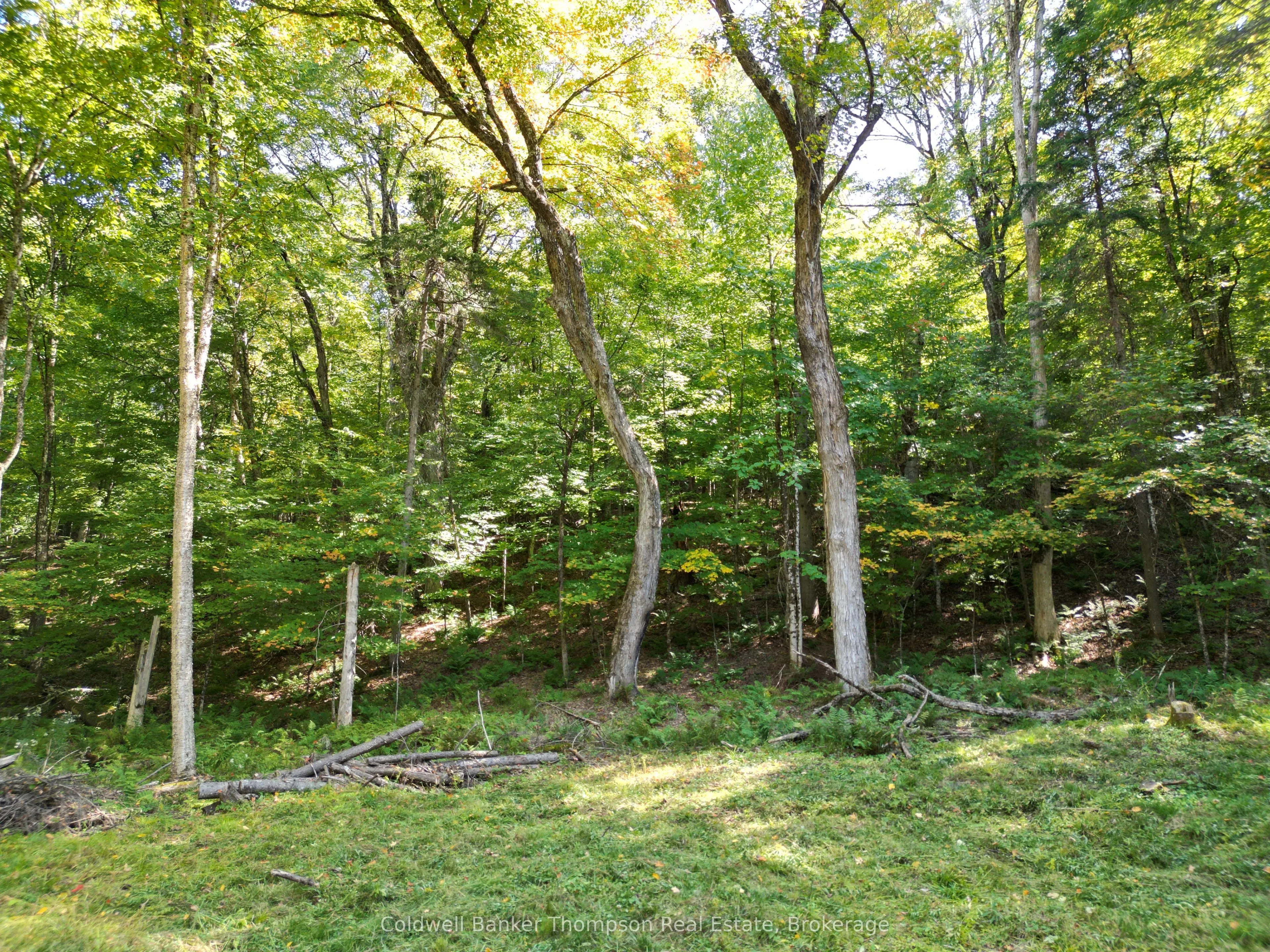 1378 North Mary Lake Road