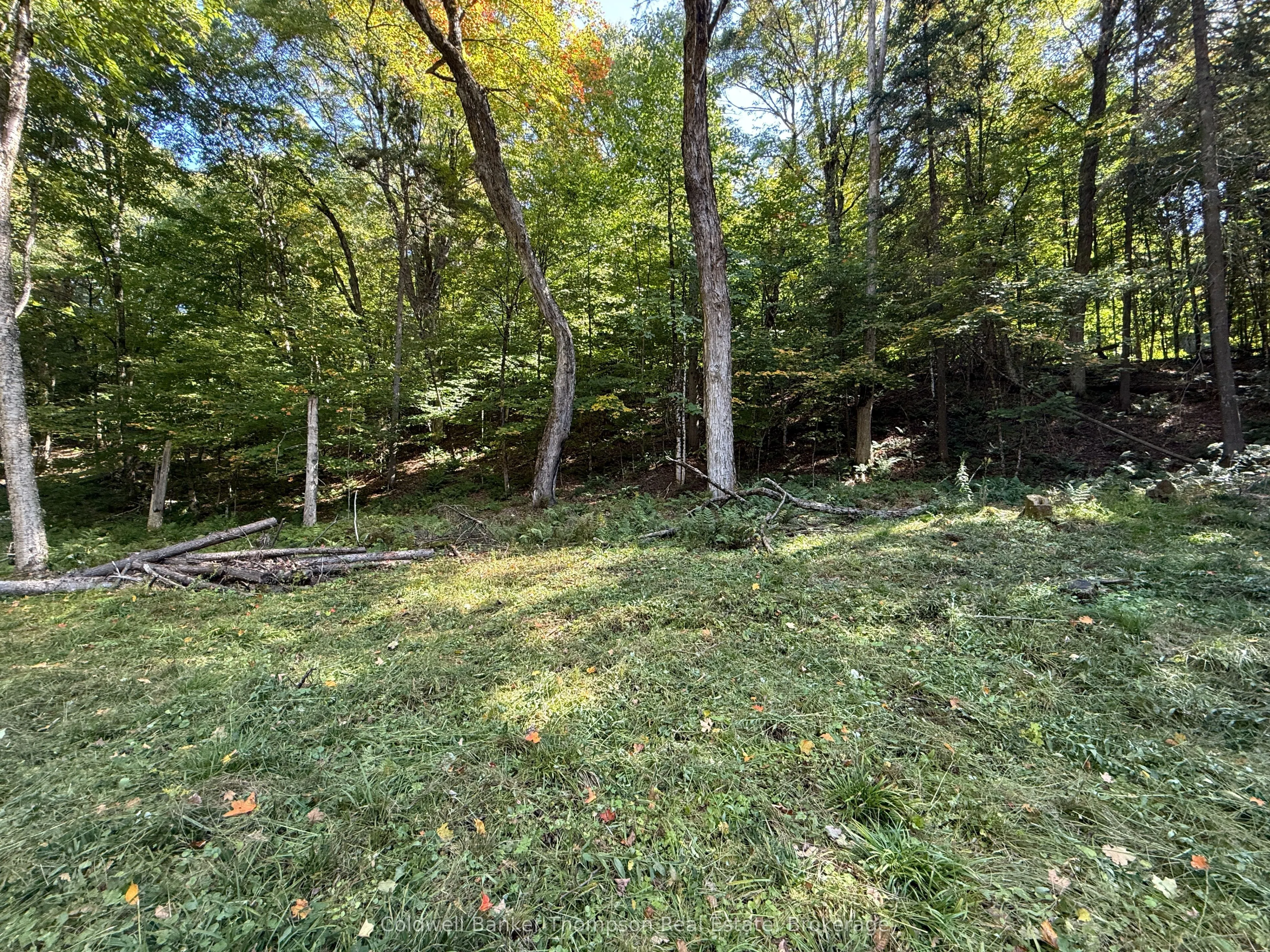 1378 North Mary Lake Road