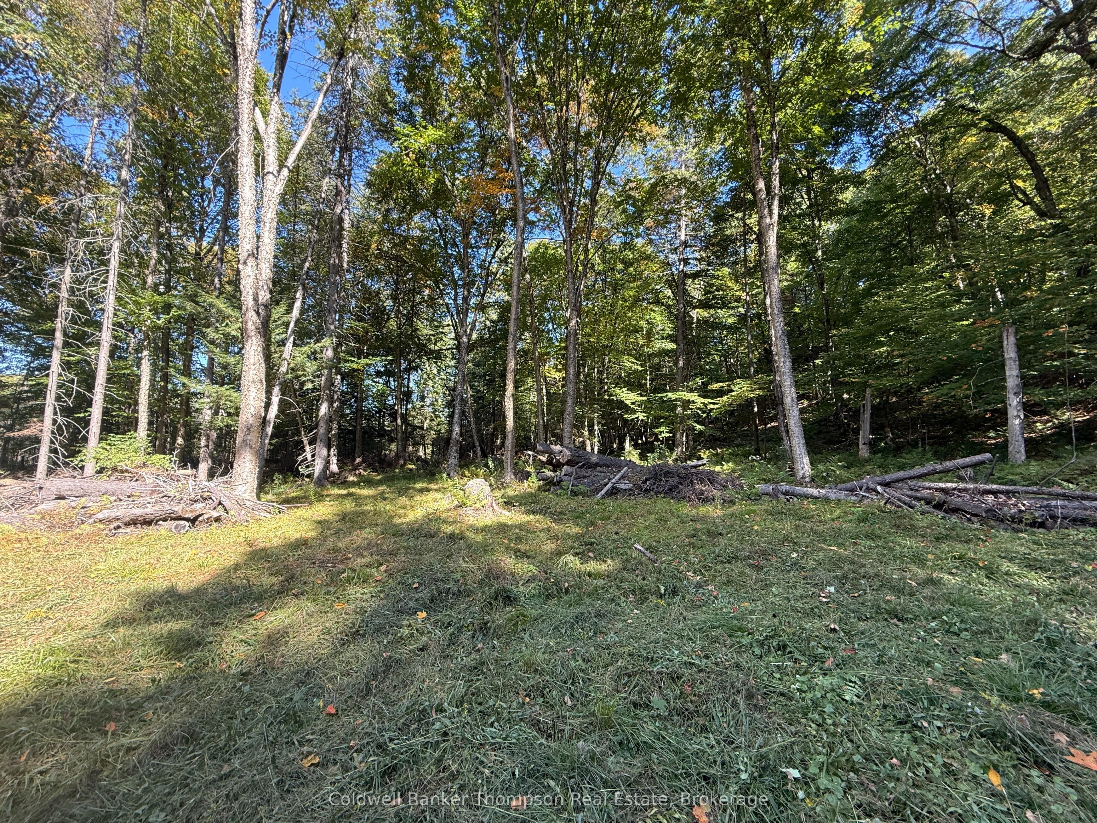 1378 North Mary Lake Road