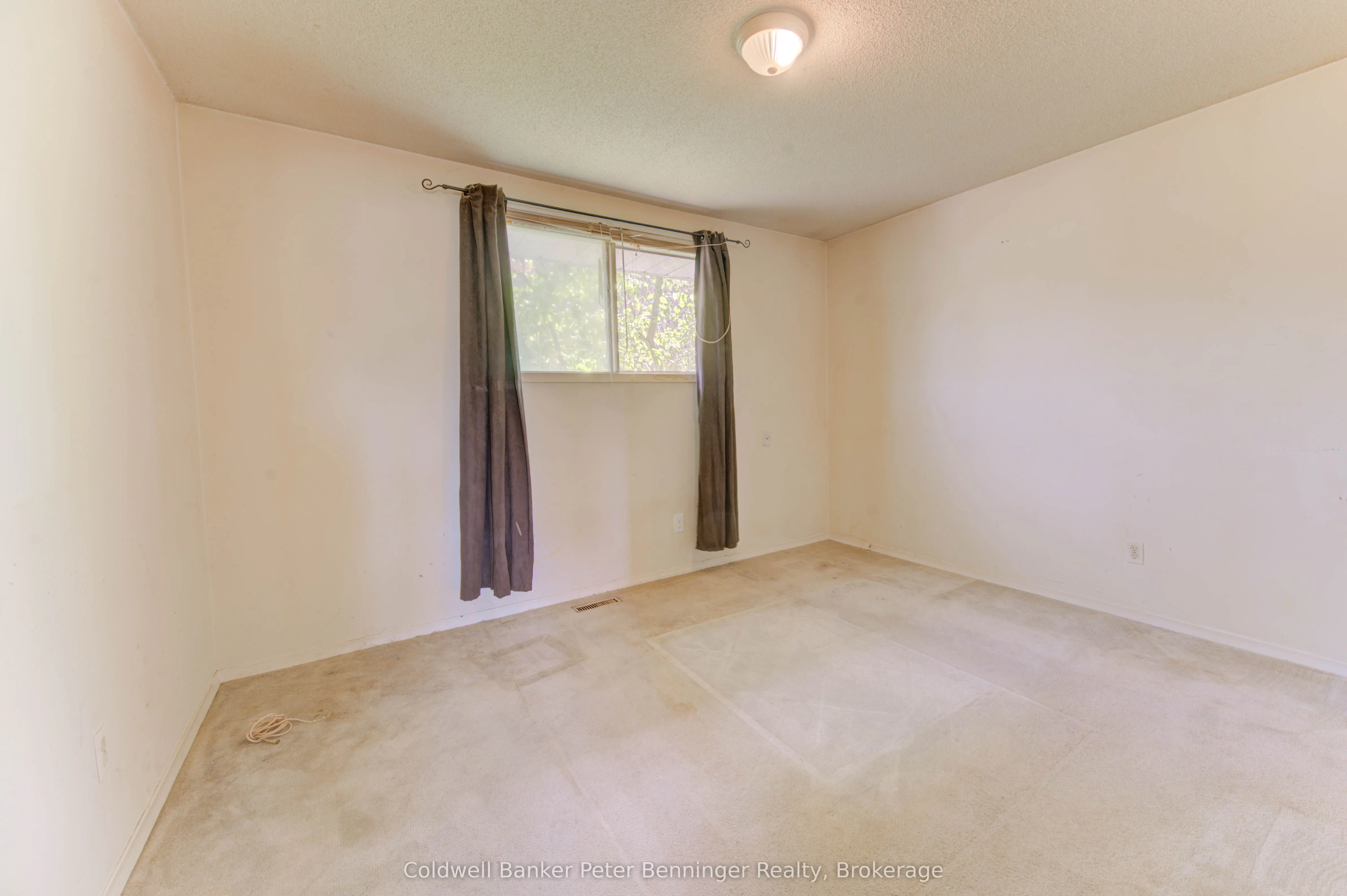 539 Pioneer Drive