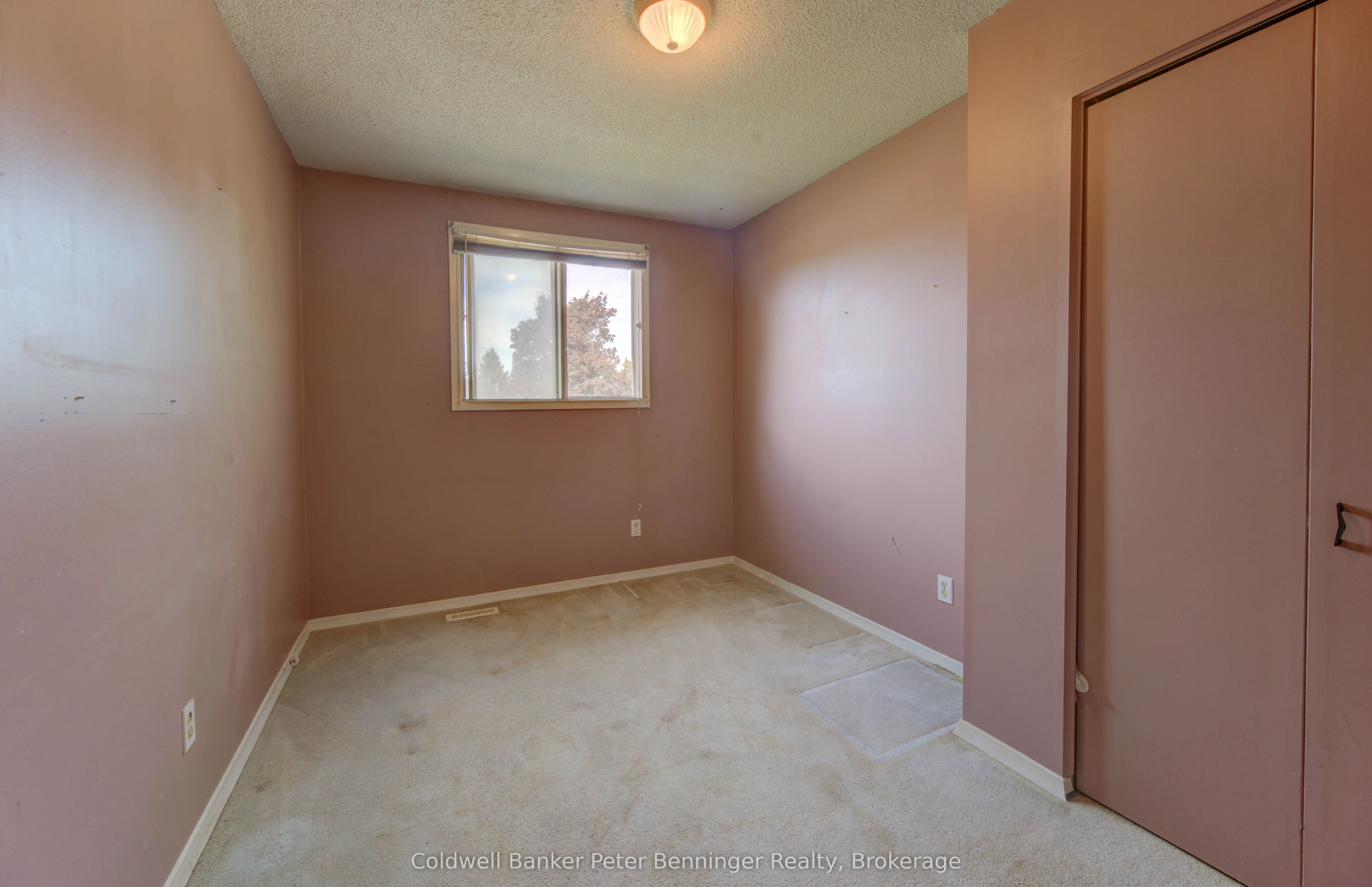 539 Pioneer Drive