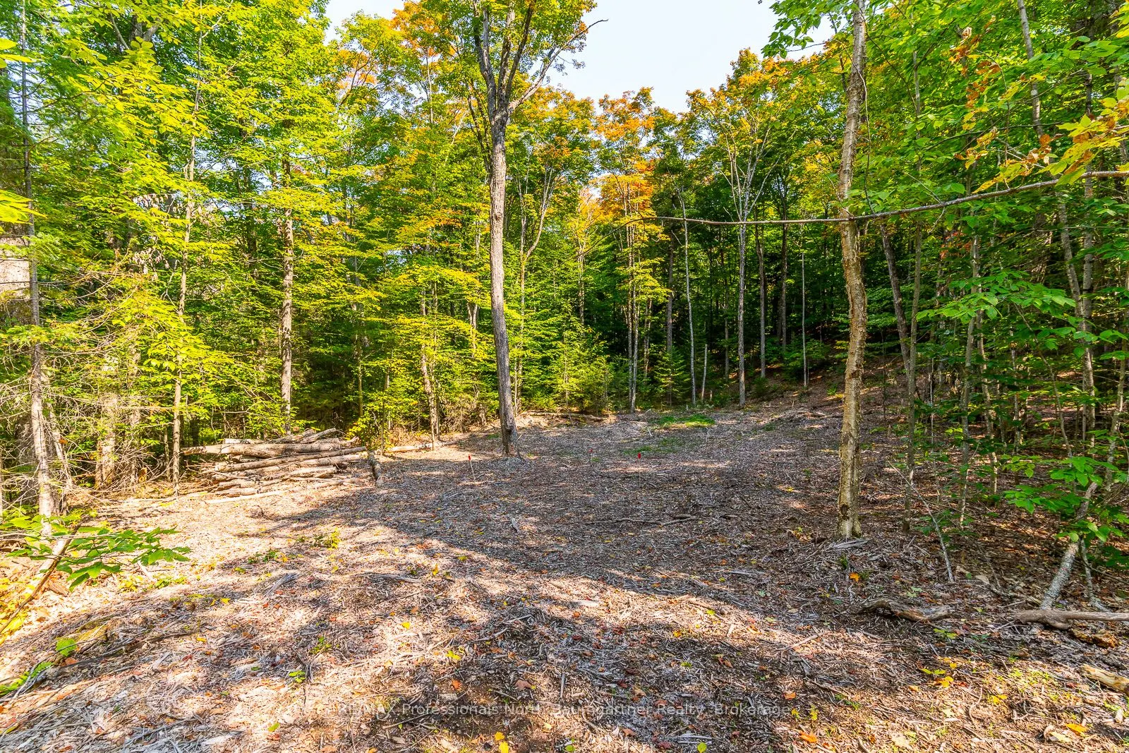 LOT 49 BASSHAUNT LAKE Road