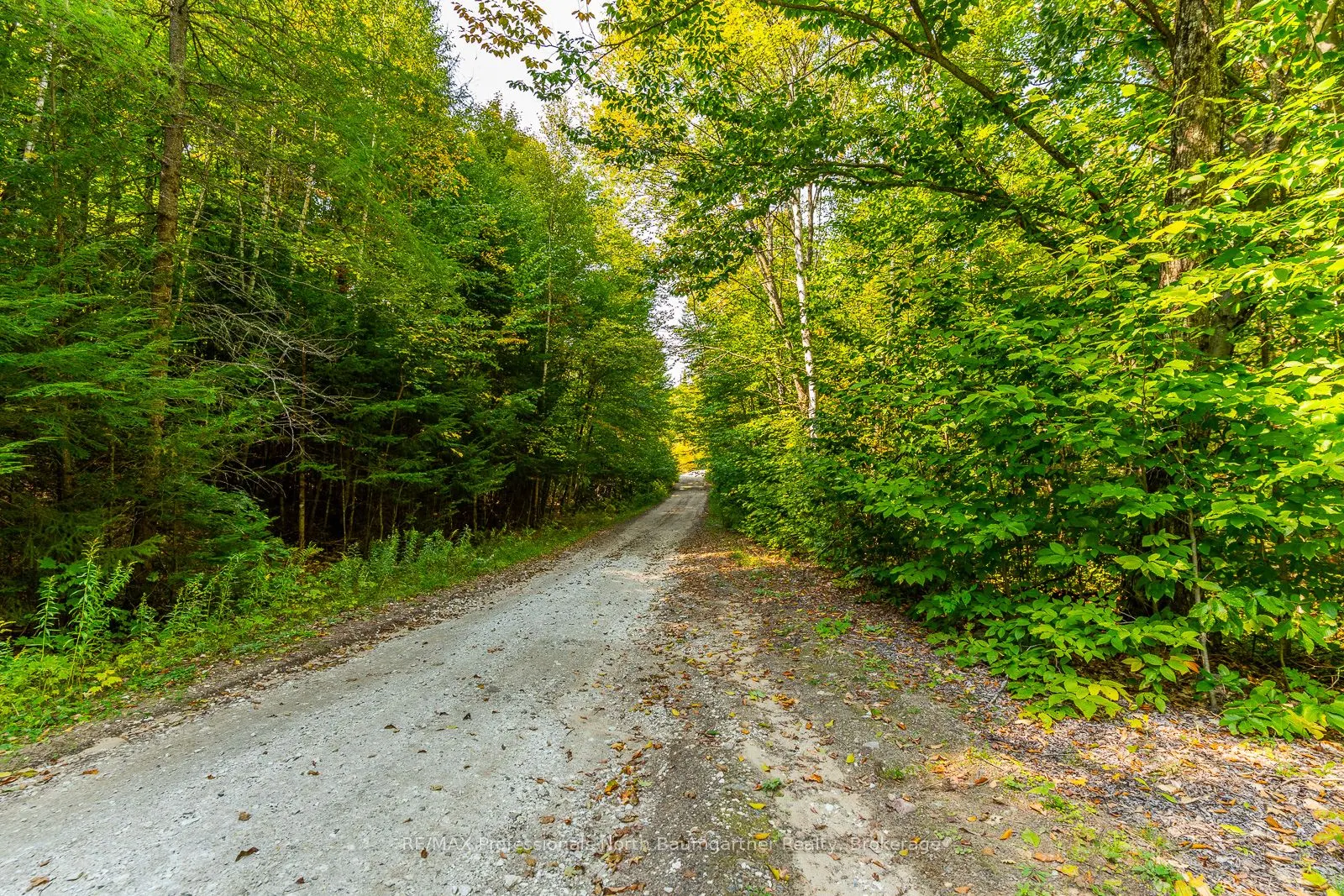 LOT 49 BASSHAUNT LAKE Road