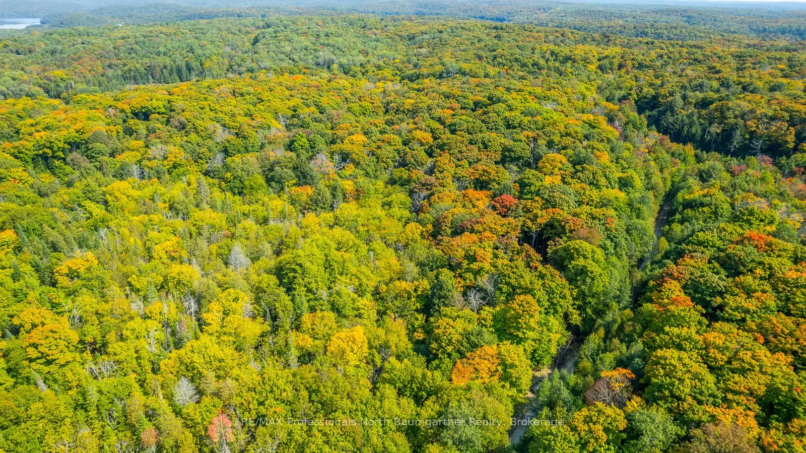 LOT 49 BASSHAUNT LAKE Road