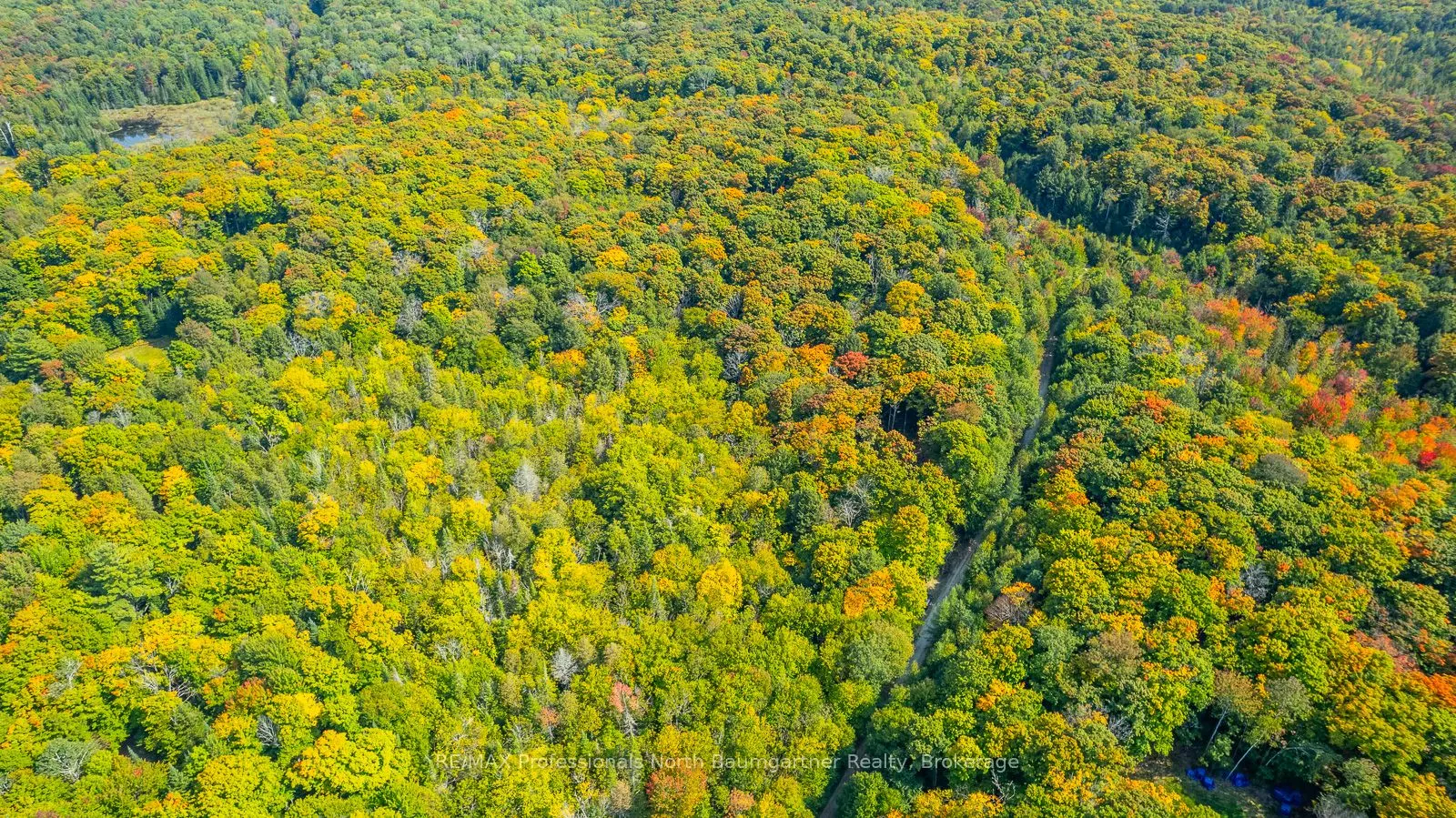 LOT 49 BASSHAUNT LAKE Road