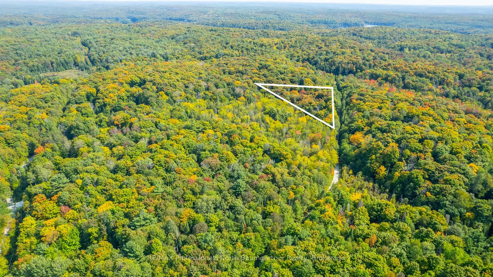 LOT 49 BASSHAUNT LAKE Road