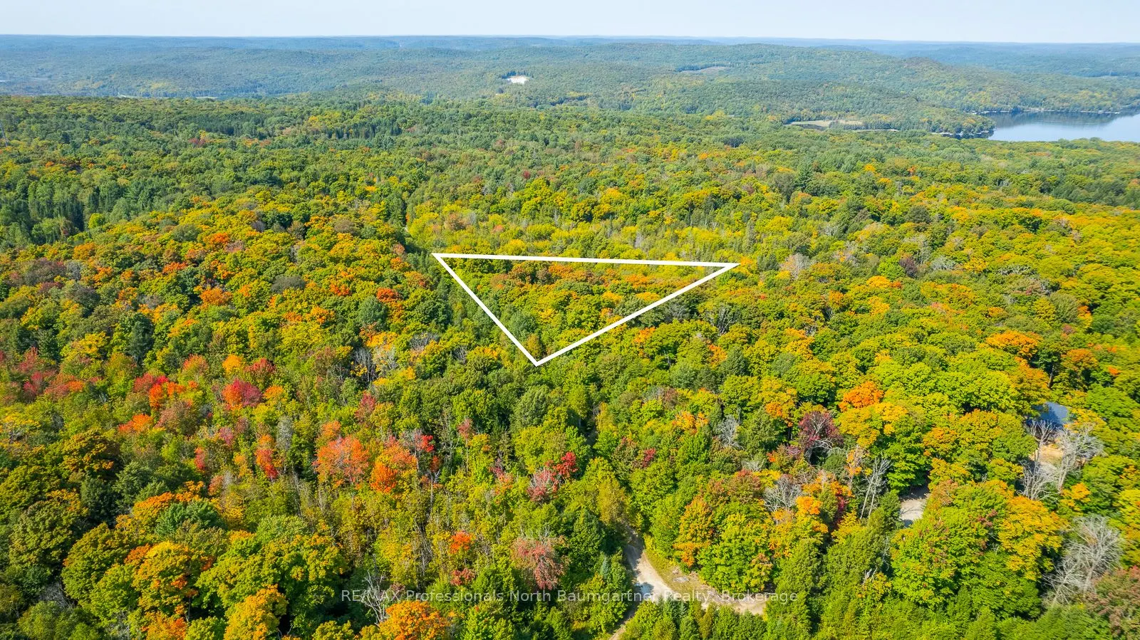 LOT 49 BASSHAUNT LAKE Road