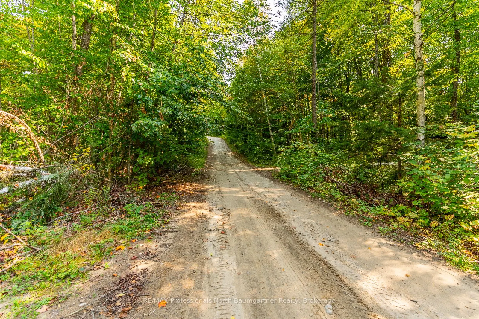 LOT 49 BASSHAUNT LAKE Road