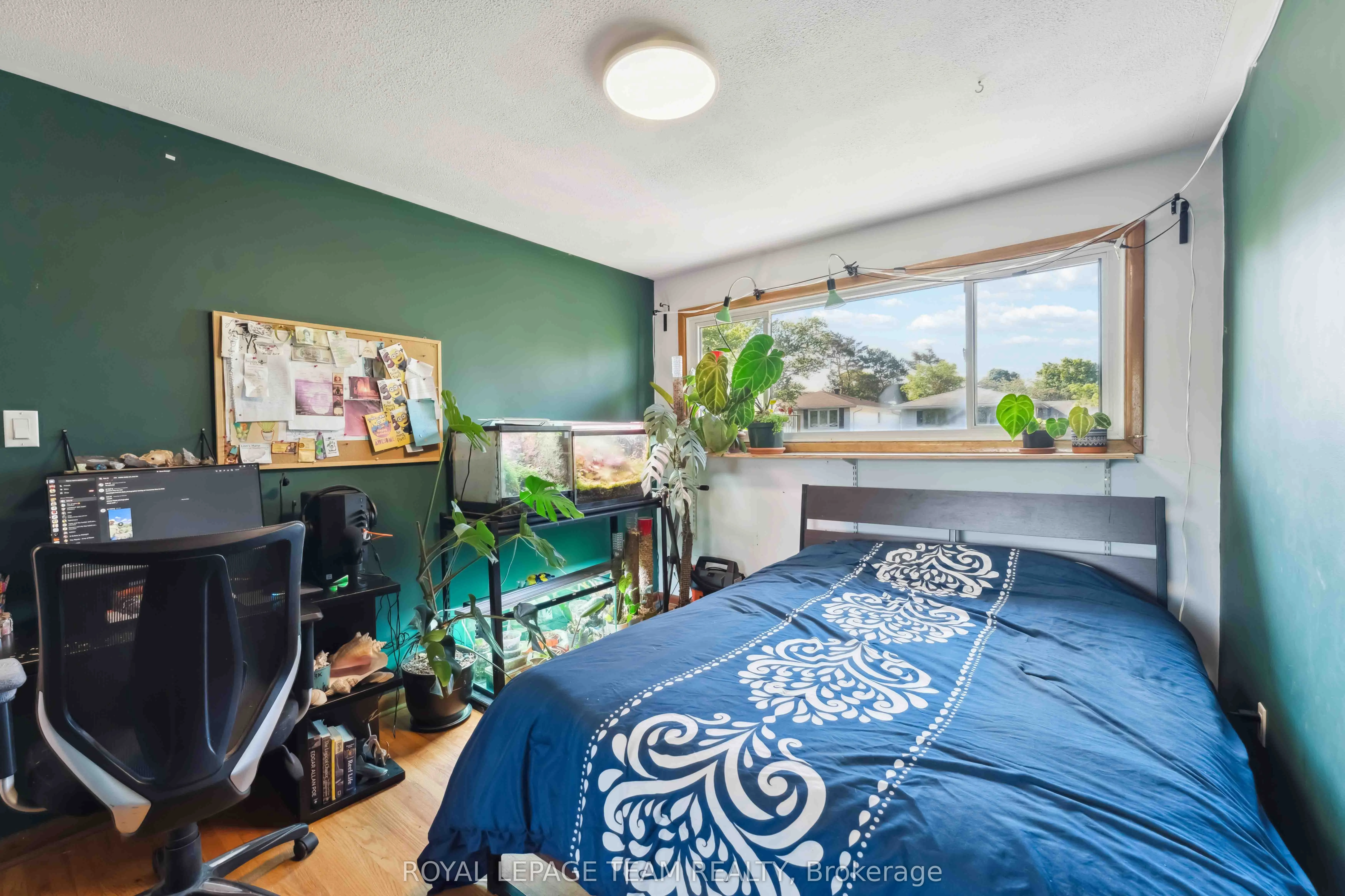 2353 Georgina Drive