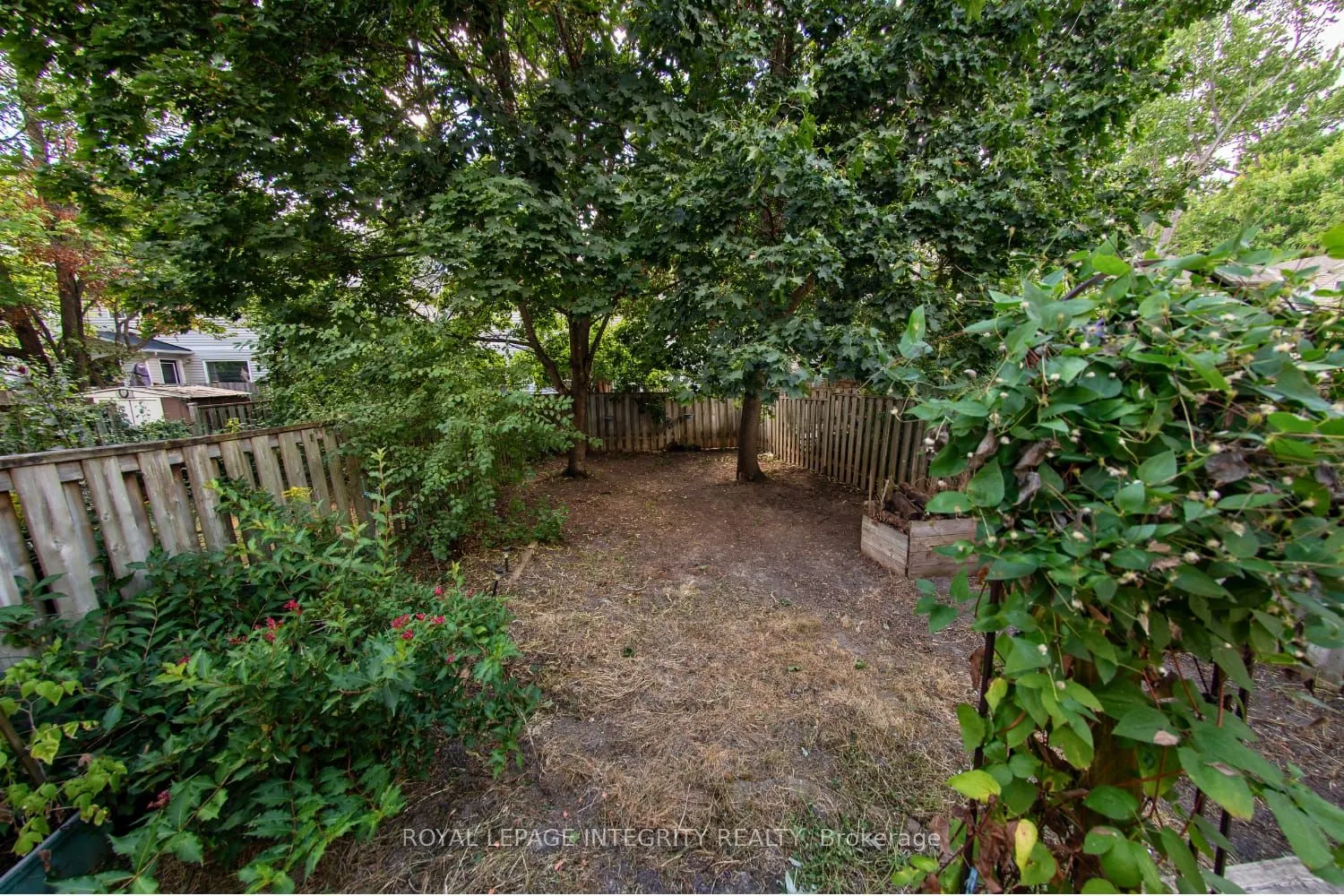 242 Beatrice Drive