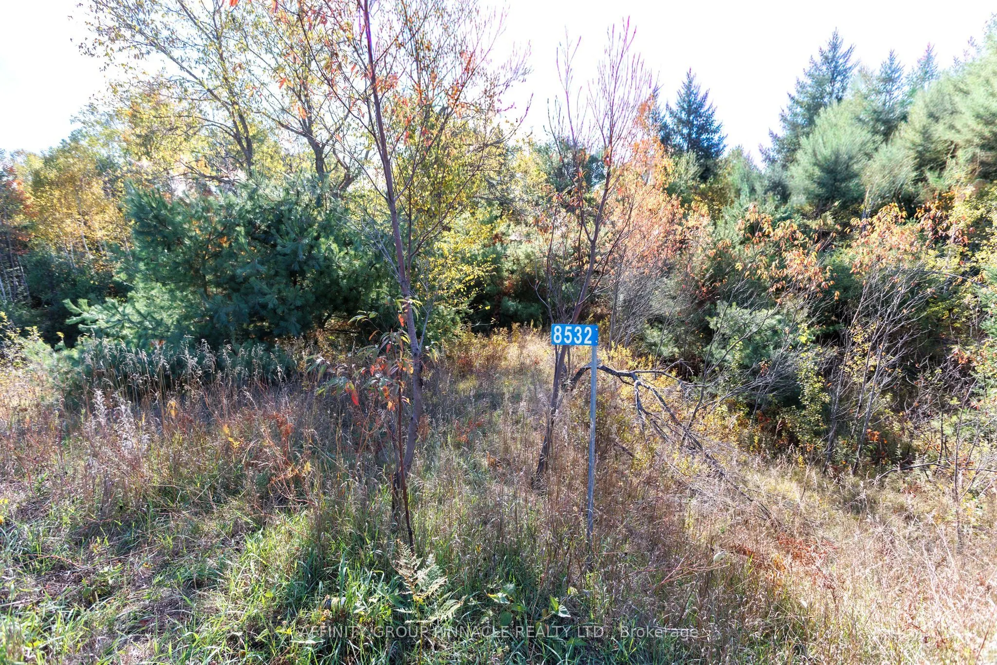 8532 County Rd 503