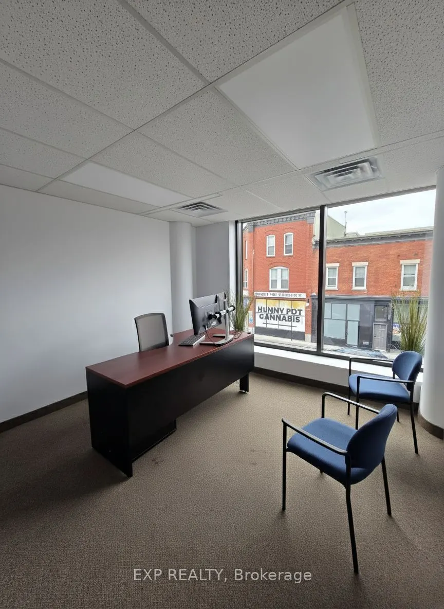 291 Dalhousie Street