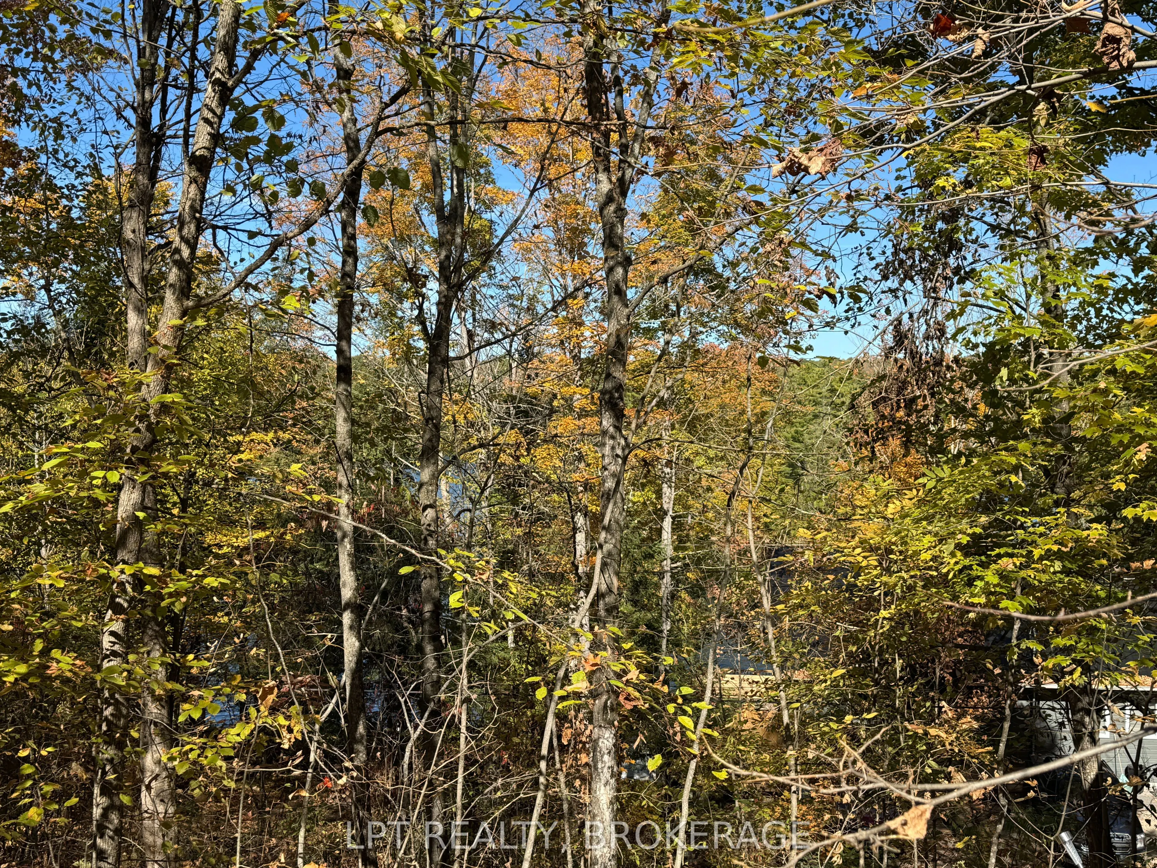 500 Yvon Lane