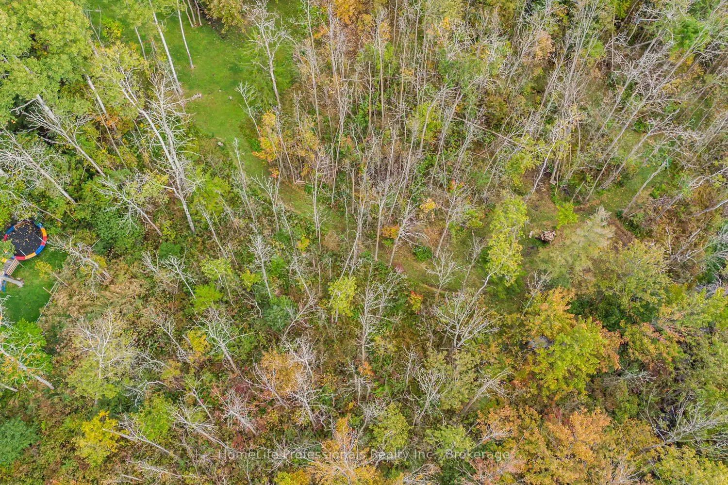 1545 Brock Road