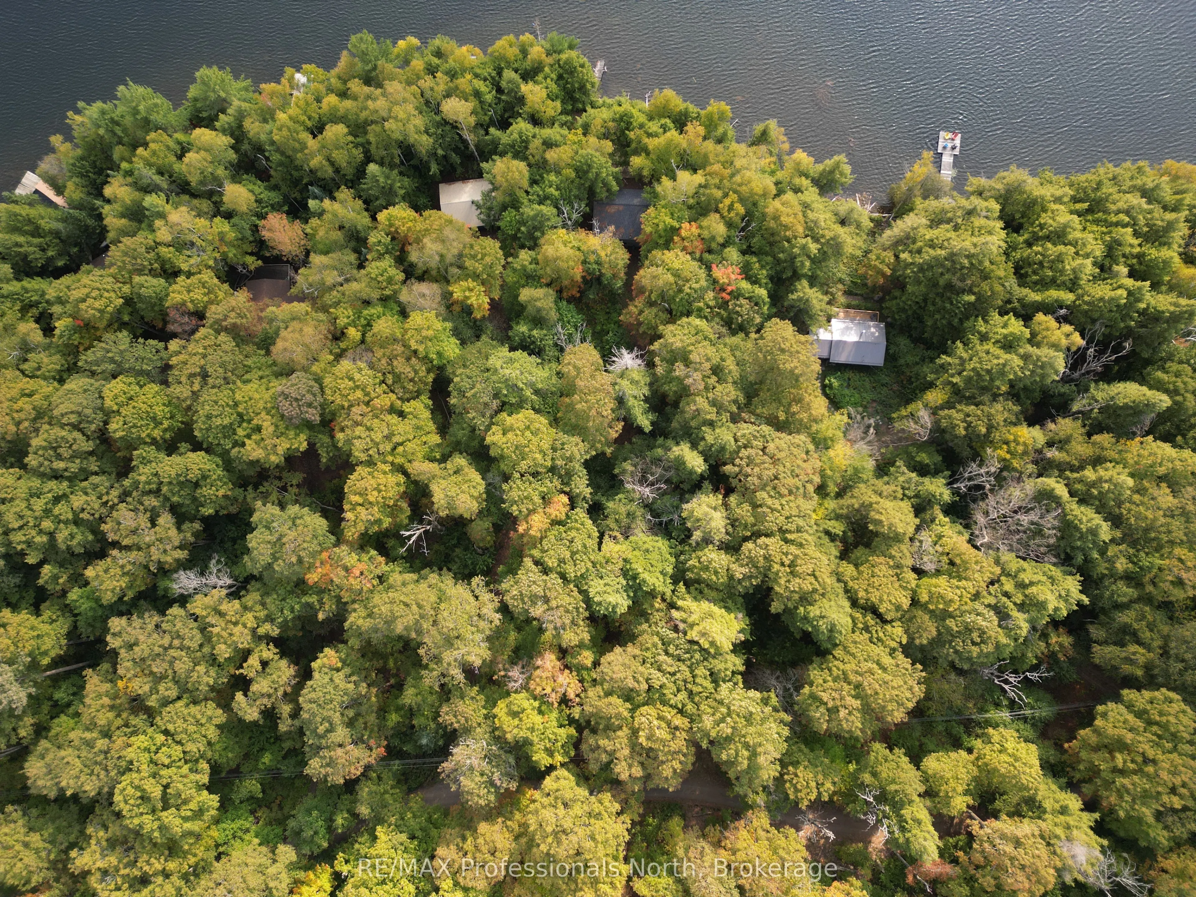 1258 Betula Crescent