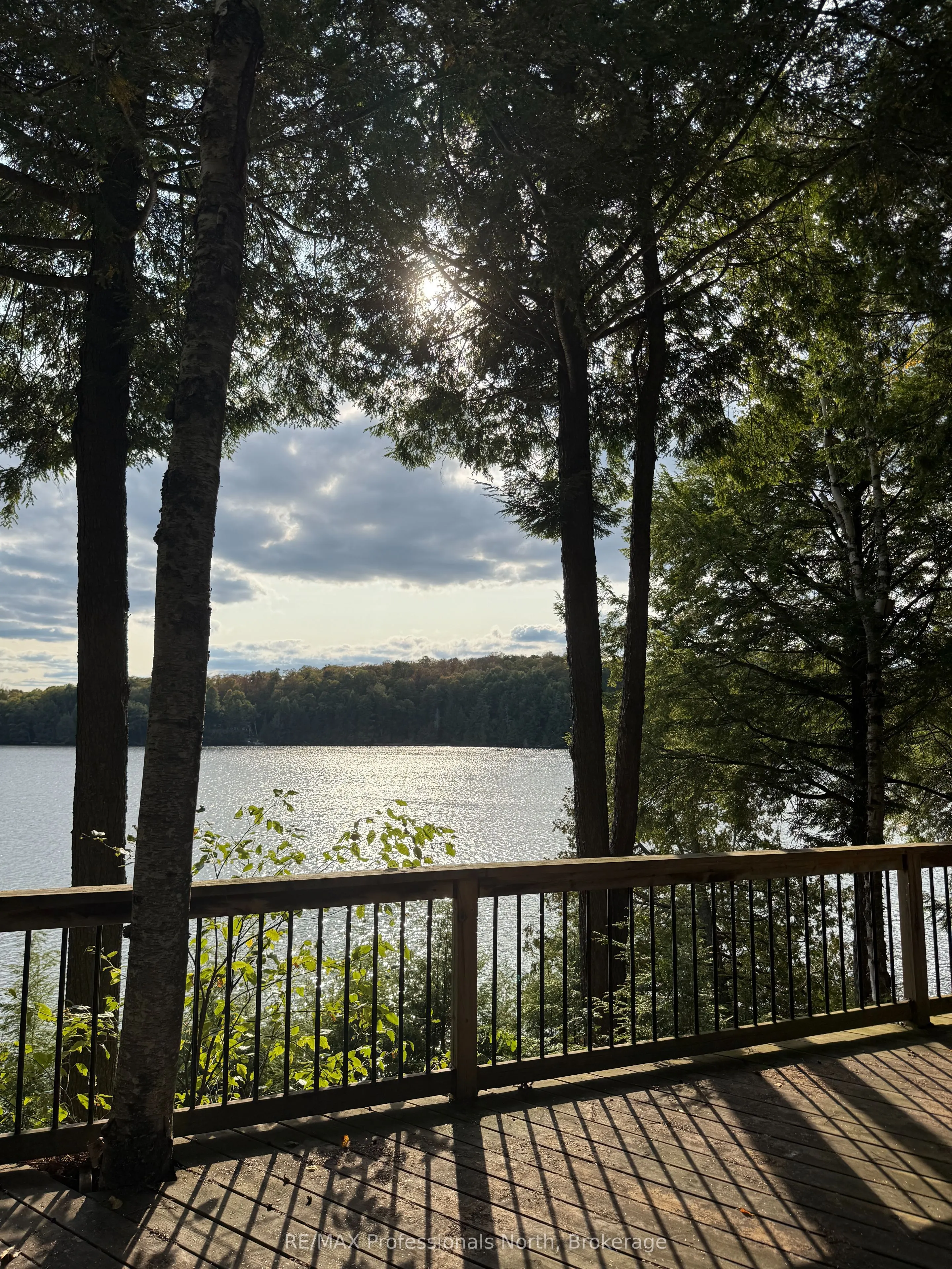1258 Betula Crescent