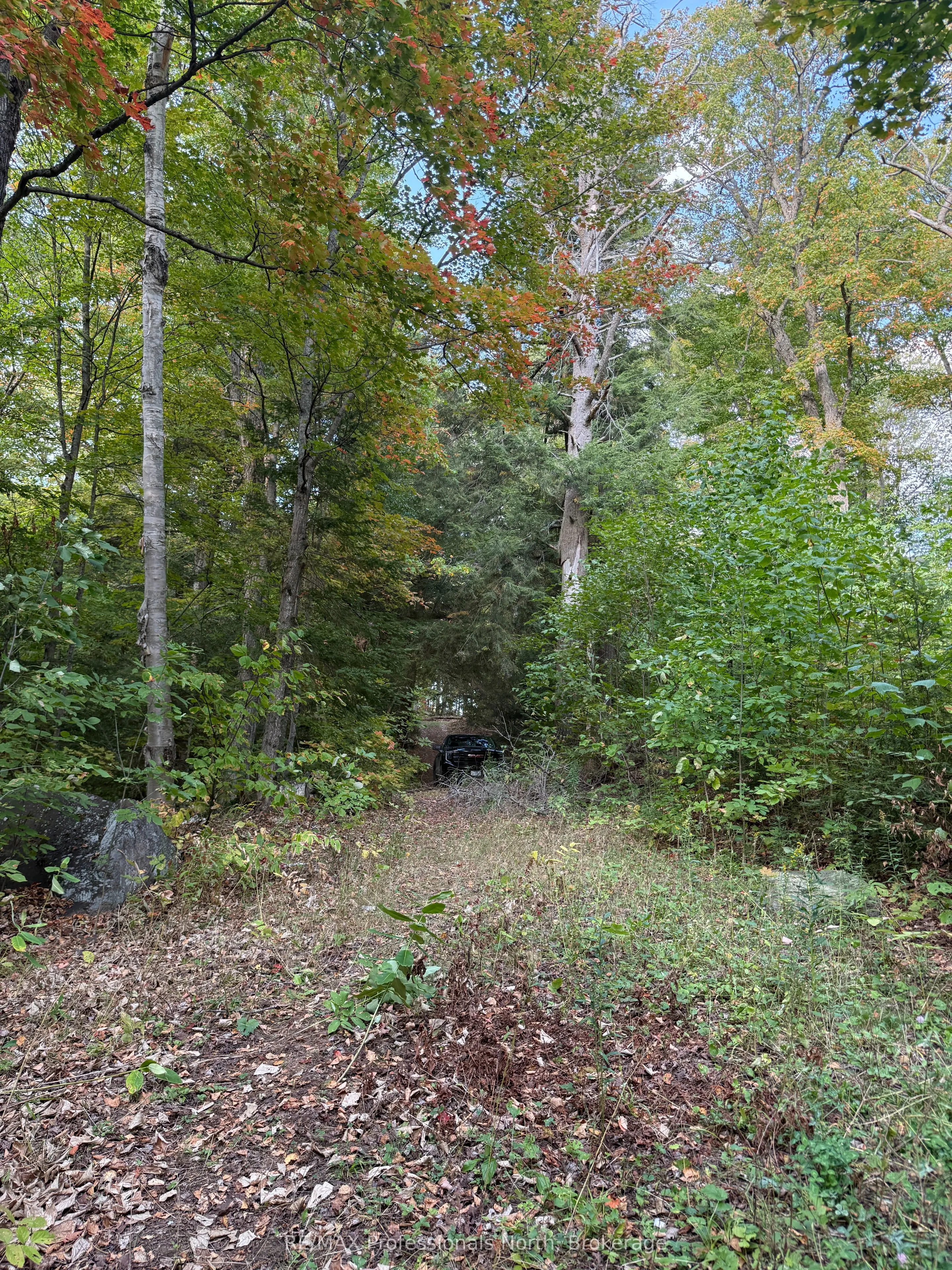 1258 Betula Crescent