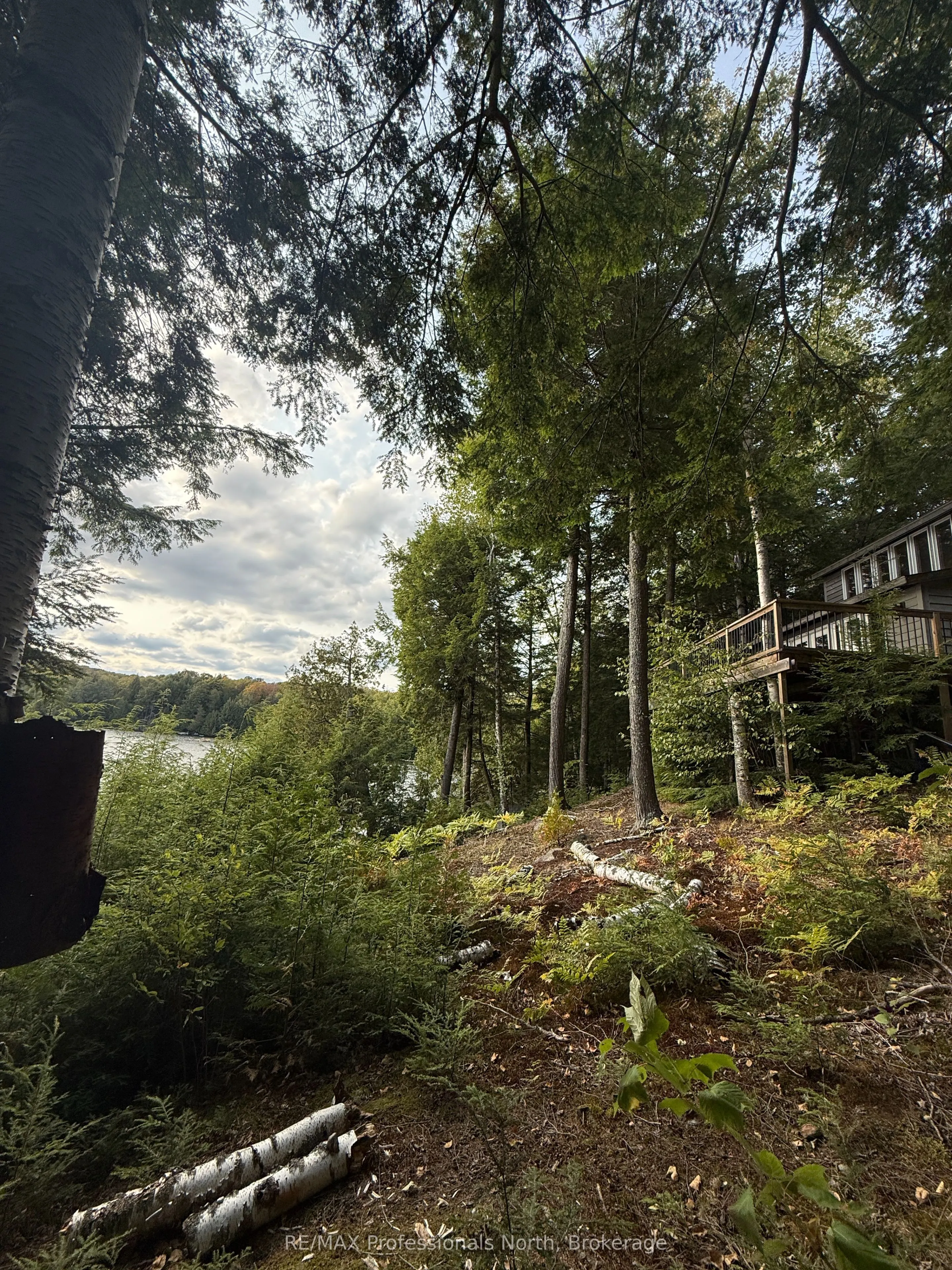 1258 Betula Crescent