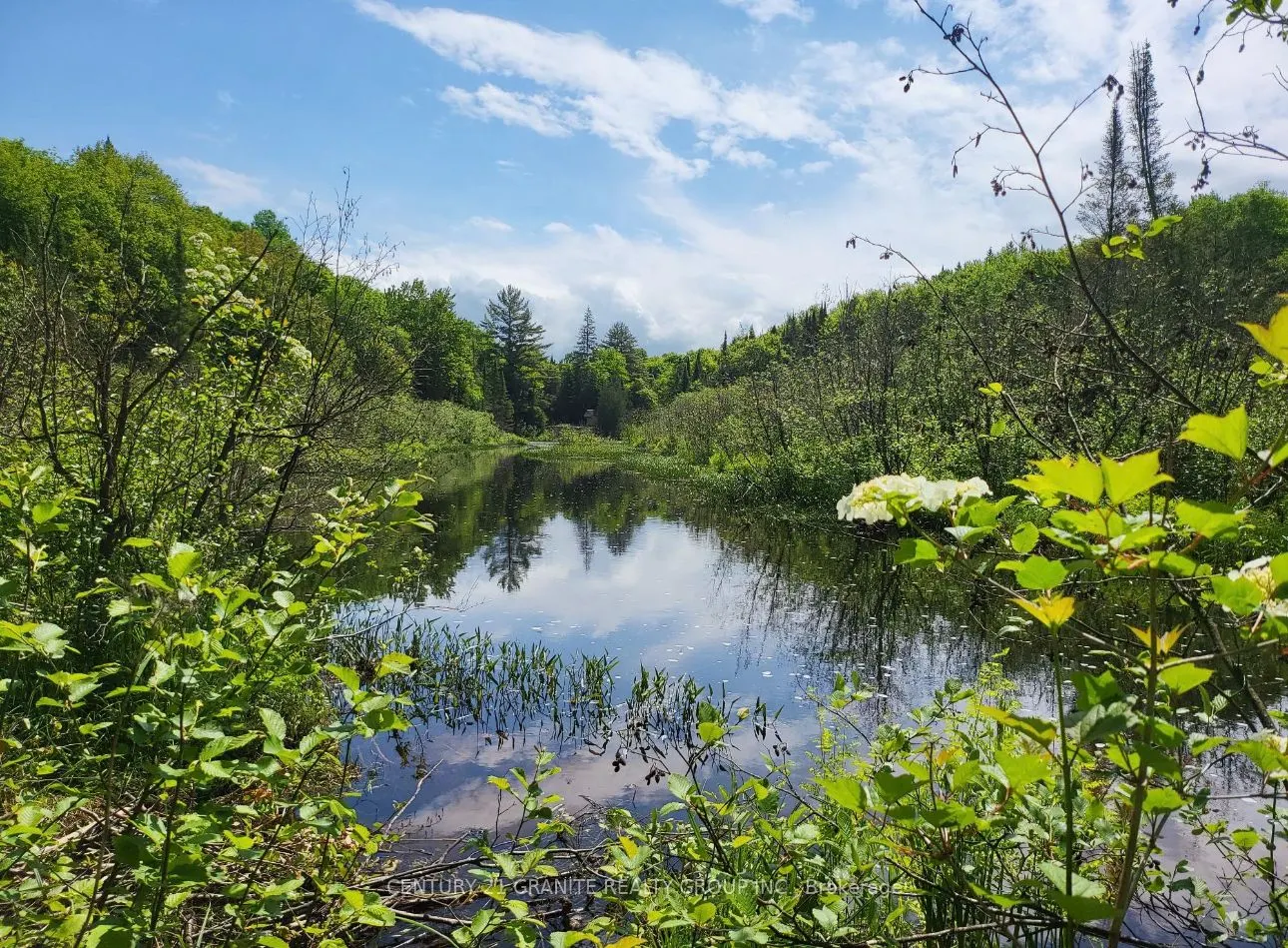 0000 Koshlong Lake Road
