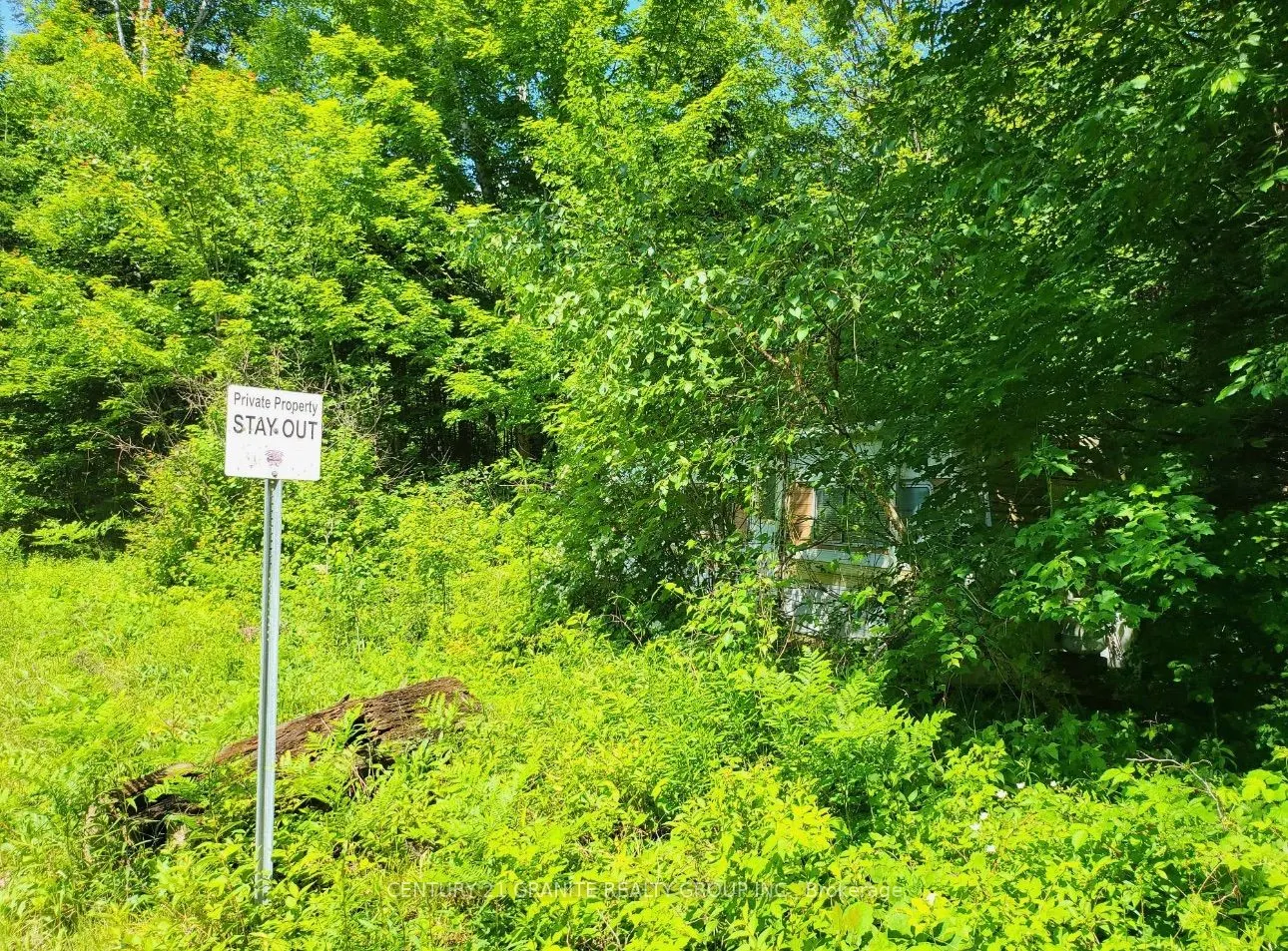 0000 Koshlong Lake Road