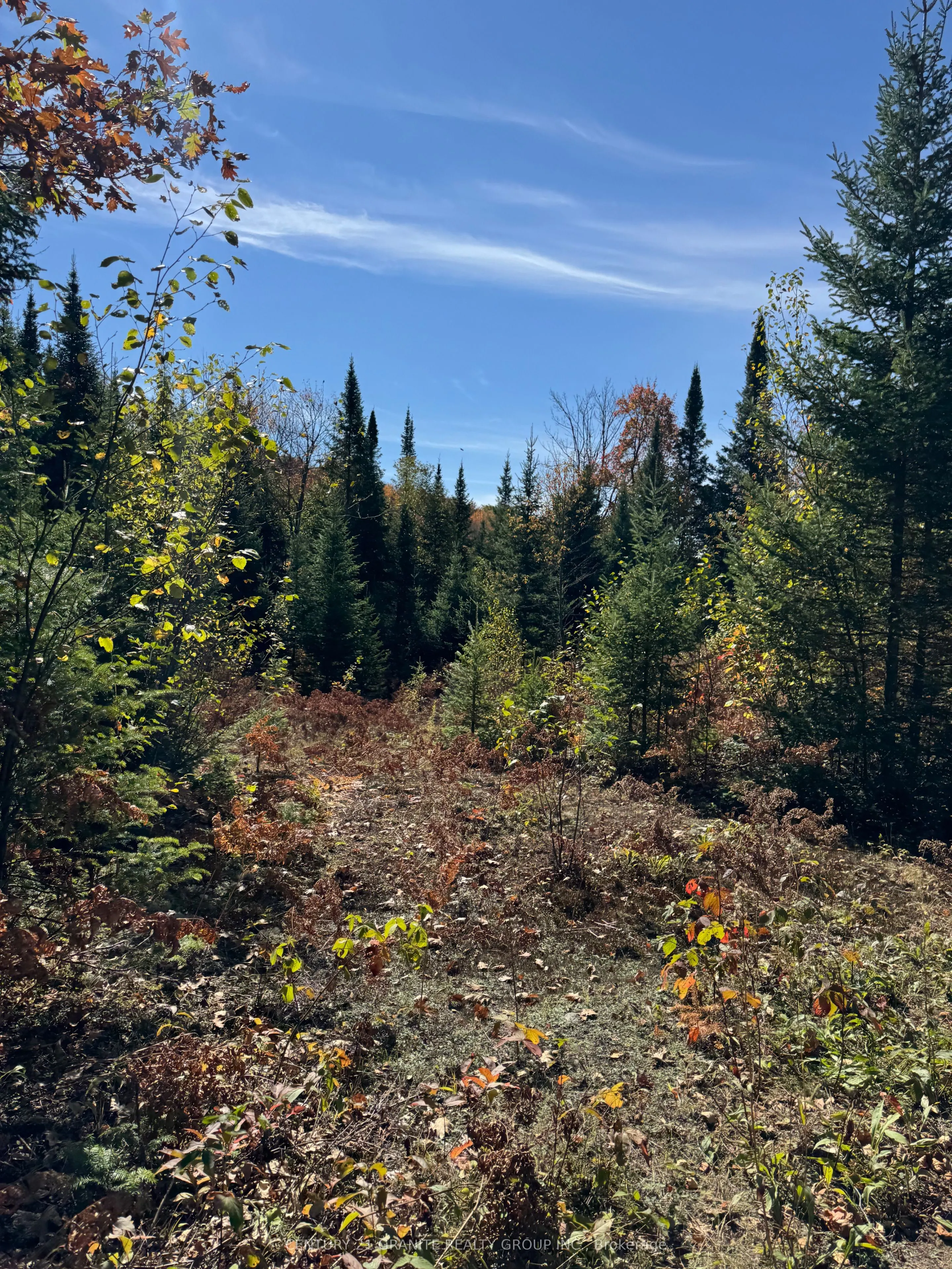 0000 Koshlong Lake Road
