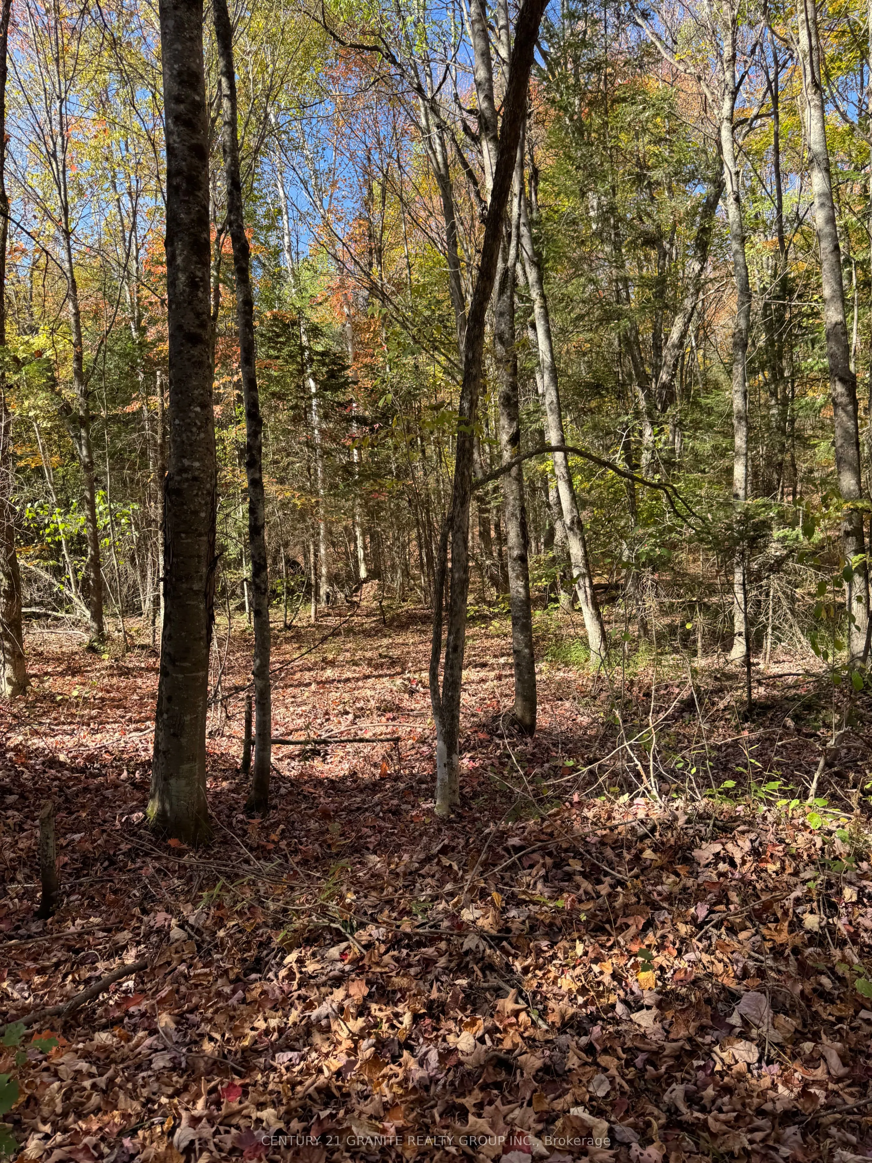 0000 Koshlong Lake Road