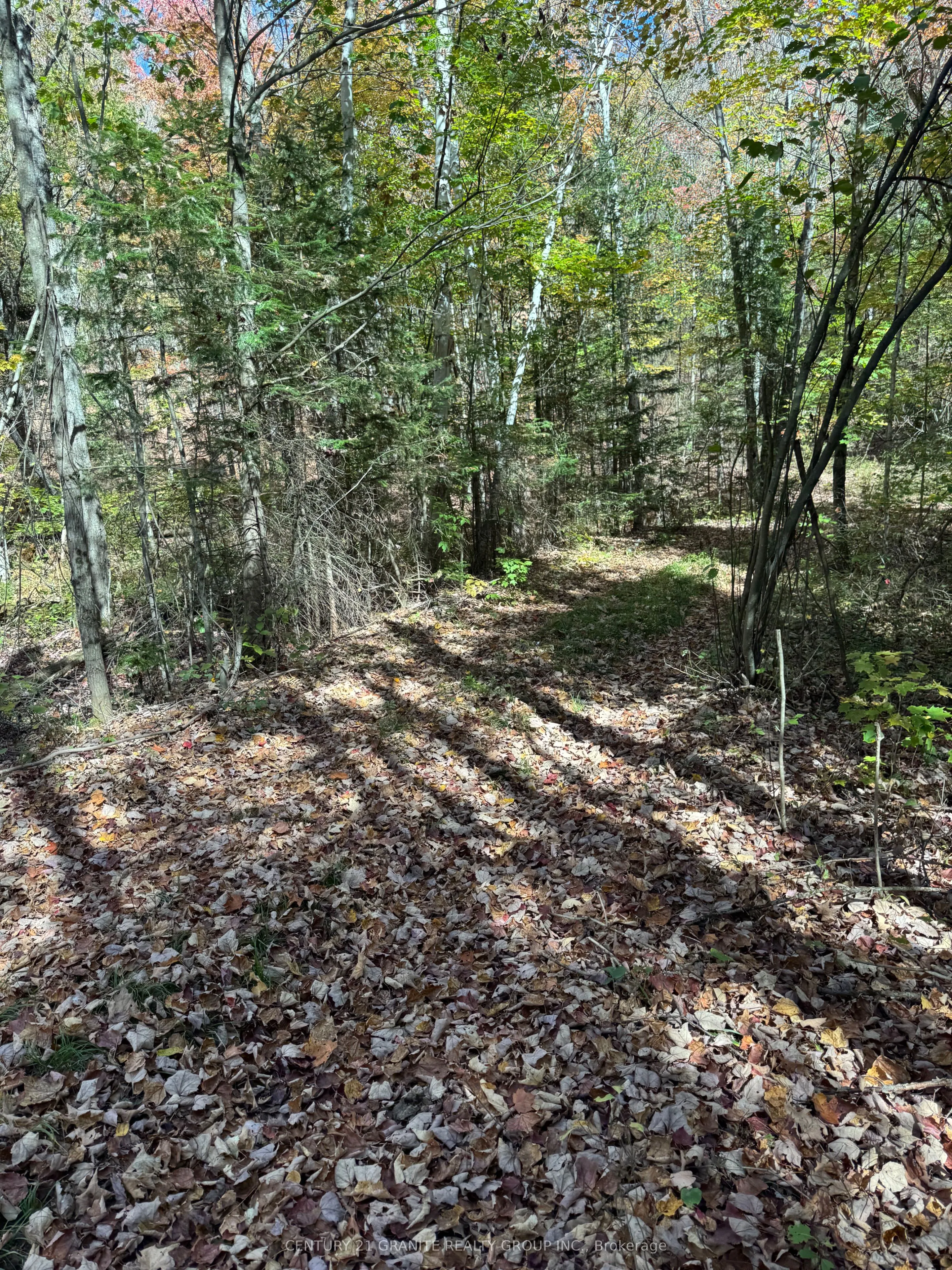 0000 Koshlong Lake Road