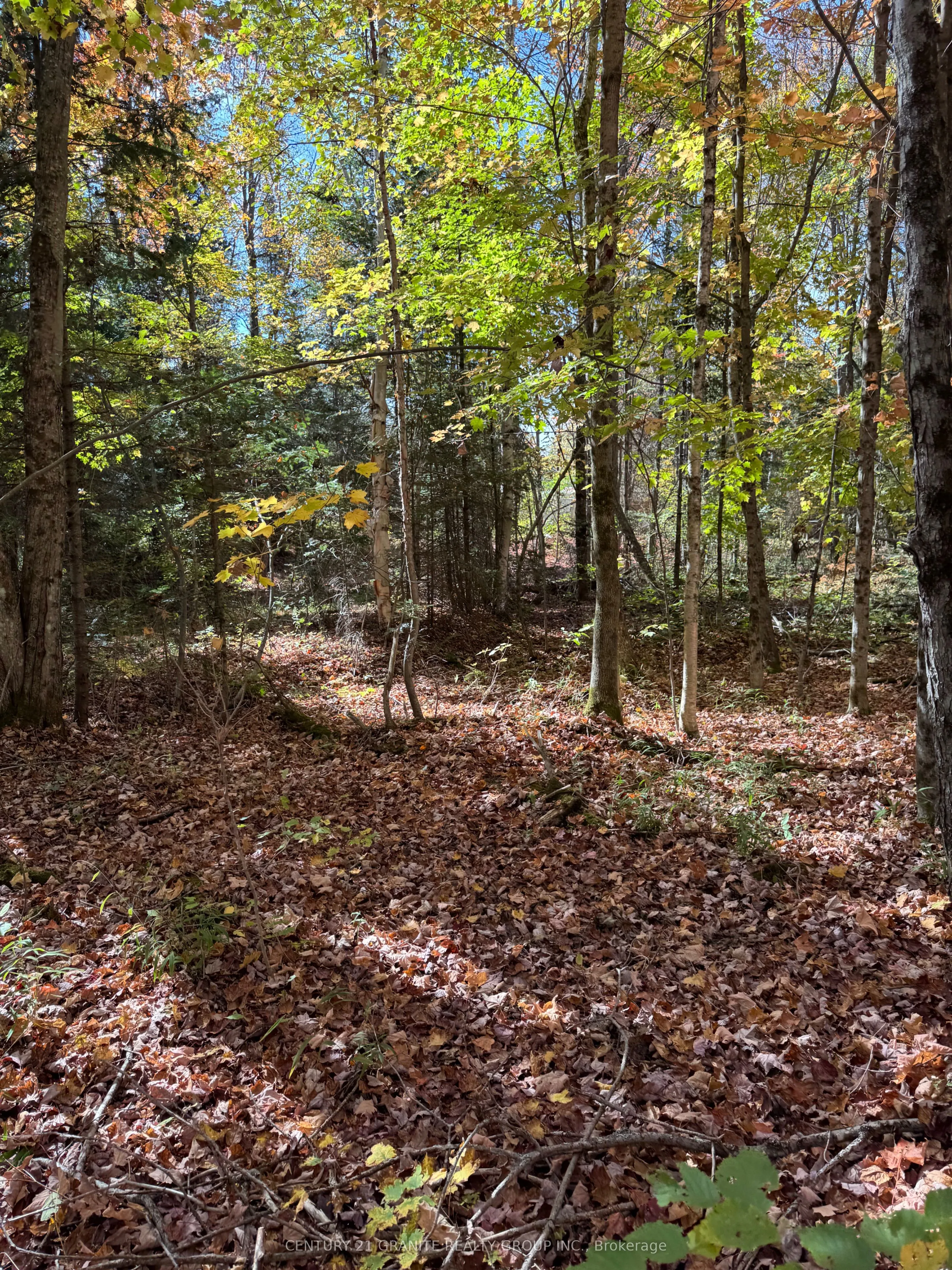 0000 Koshlong Lake Road