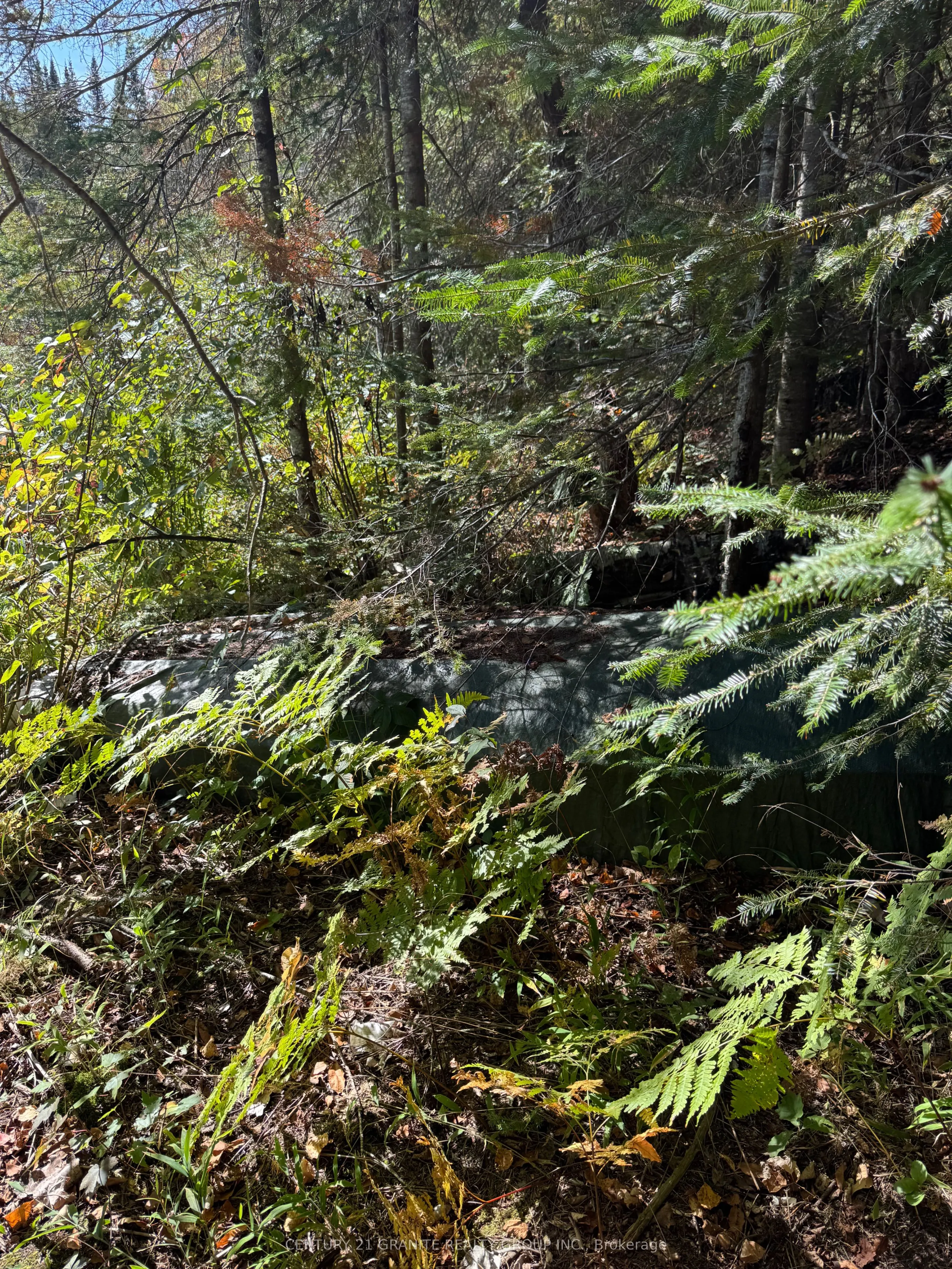 0000 Koshlong Lake Road