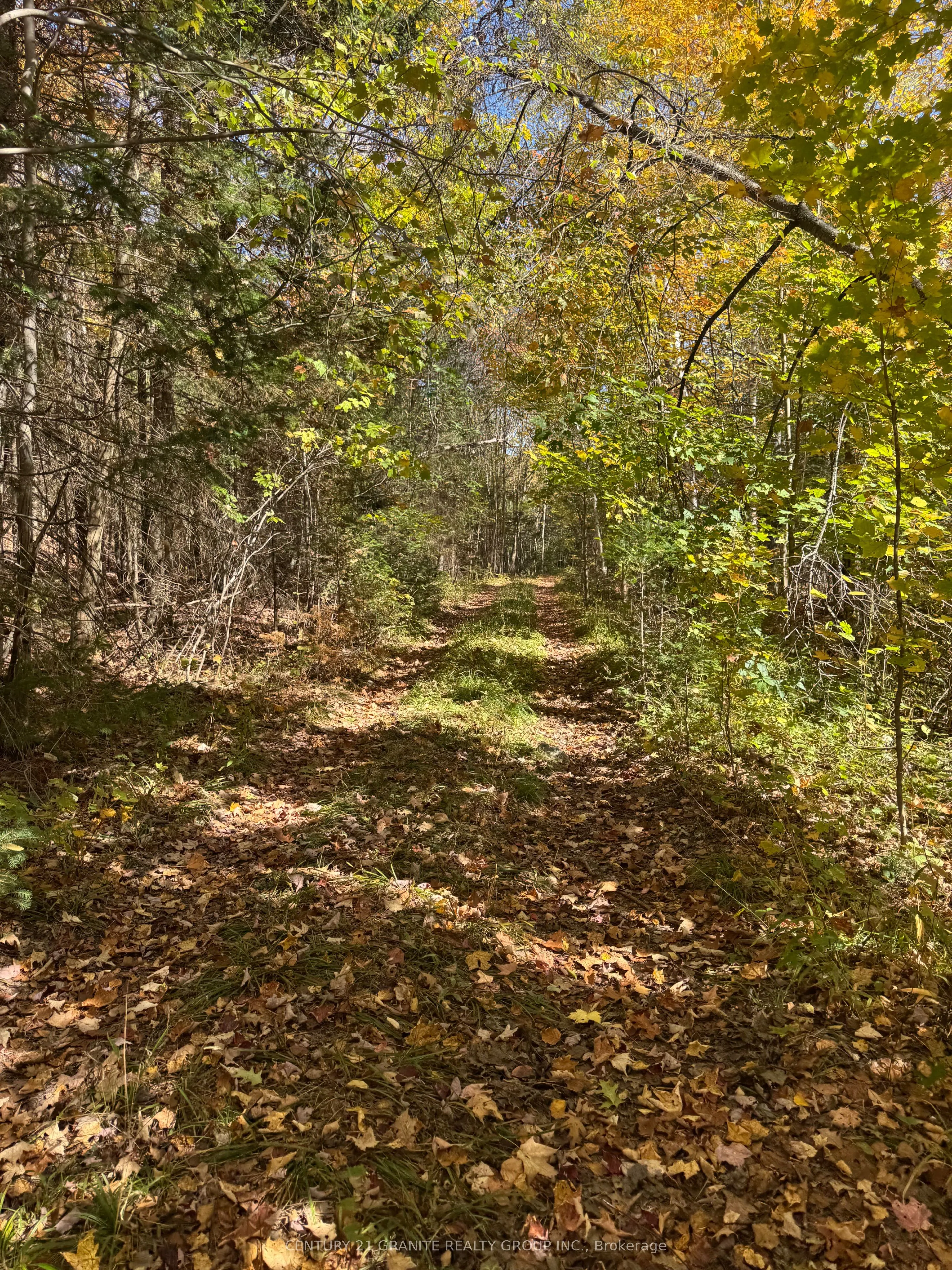 0000 Koshlong Lake Road